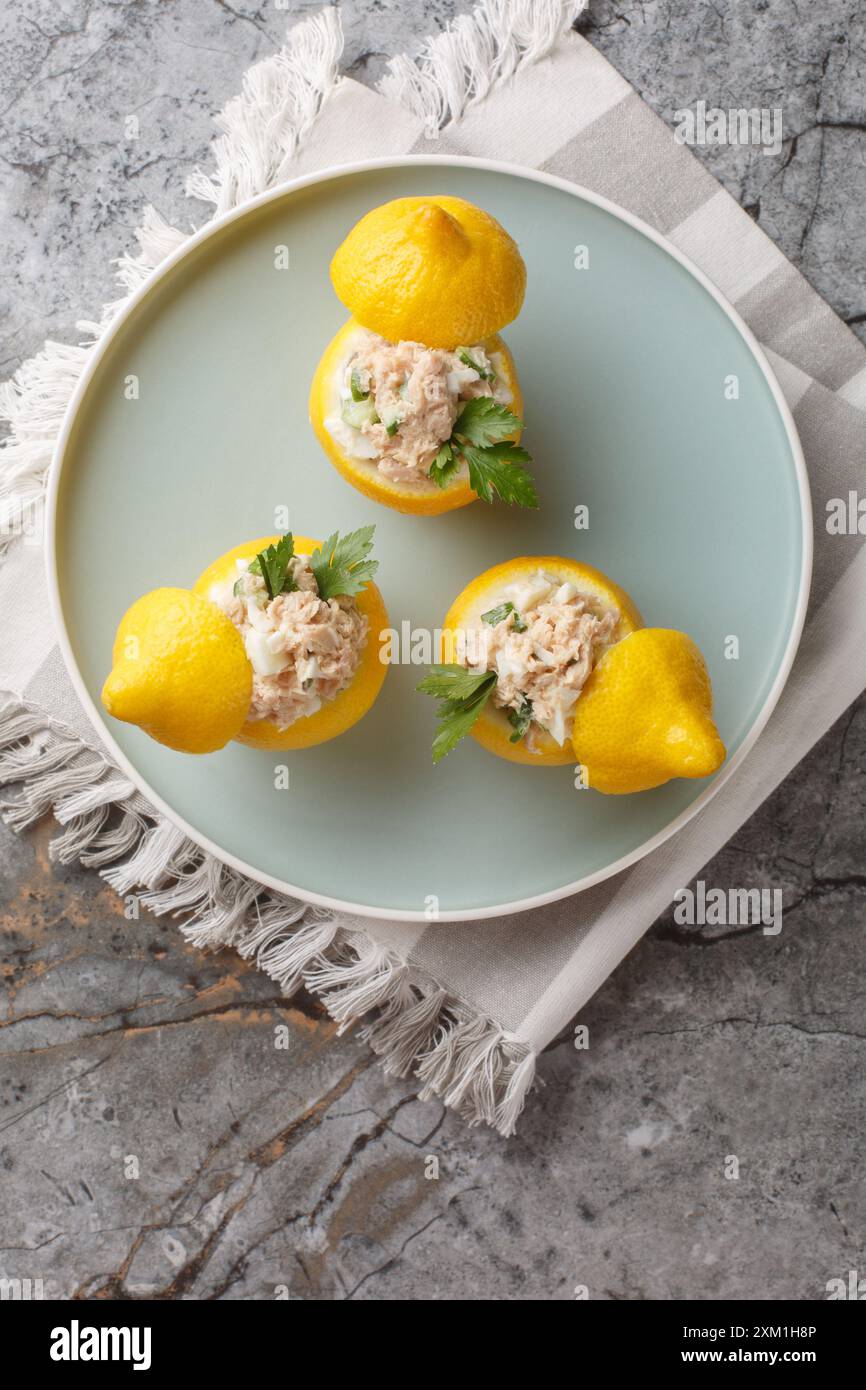 Salade de thon, œufs, concombre et crème aux citrons frais gros plan dans une assiette sur la table. Vue de dessus verticale Banque D'Images