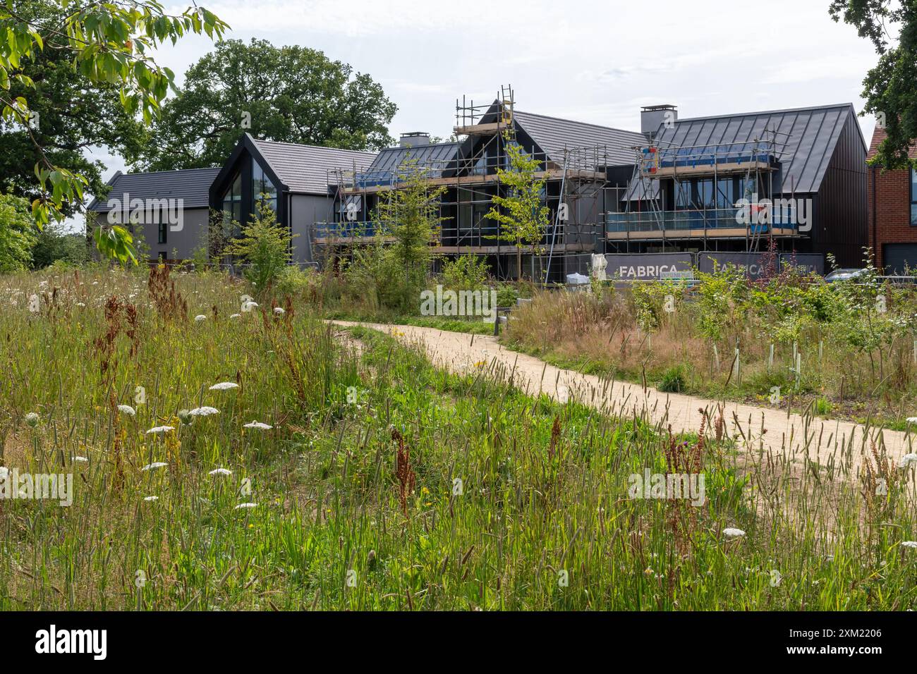 Amber Parkside, nouveau développement de logements à côté de Knowle Park sur le bord de Cranleigh, Surrey, Angleterre, Royaume-Uni. Maisons neuves maisons propriétés propriétés résidentielles Banque D'Images