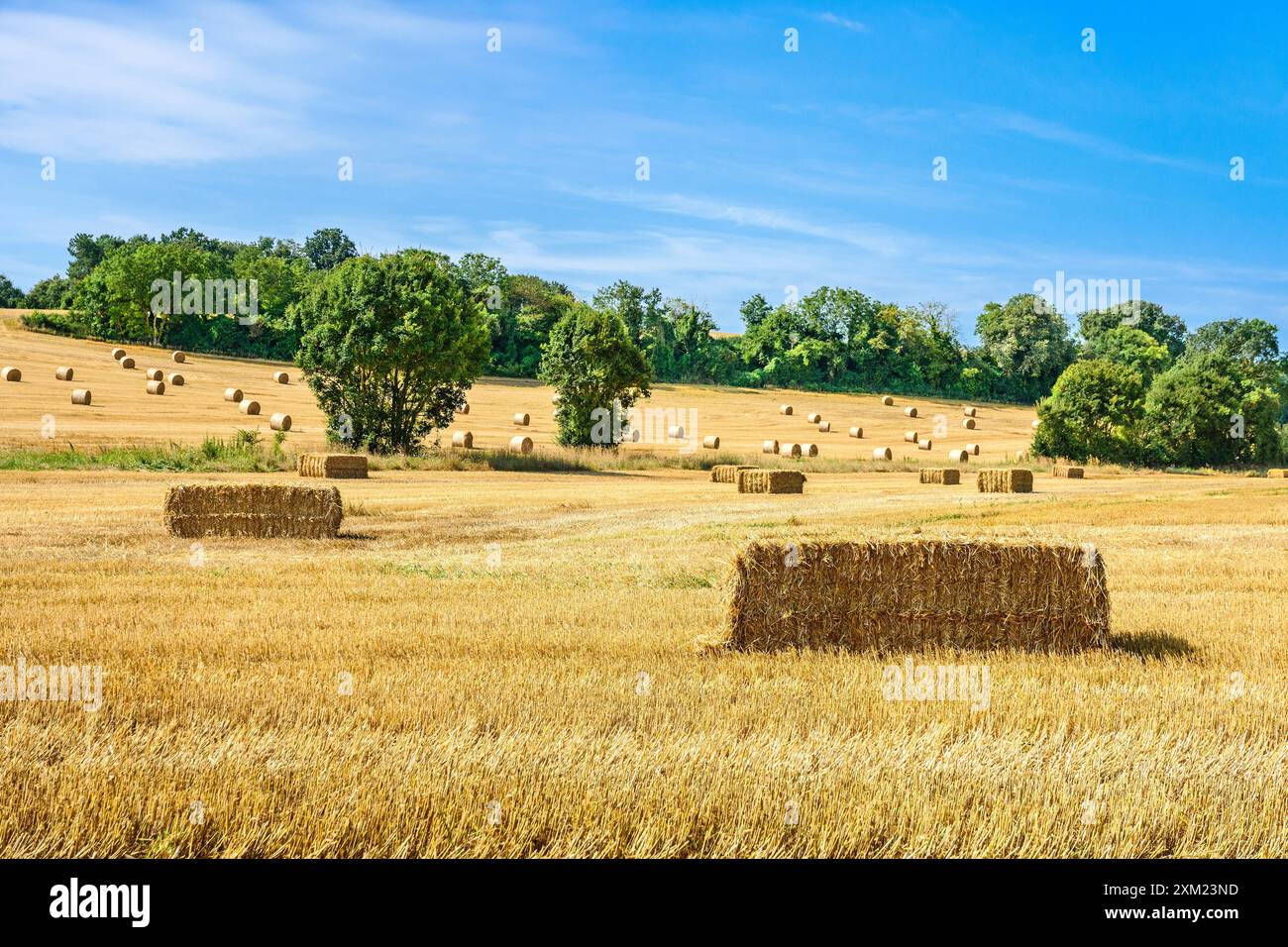 Terres agricoles avec balles de paille rondes et rectangulaires après récolte - centre de la France. Banque D'Images