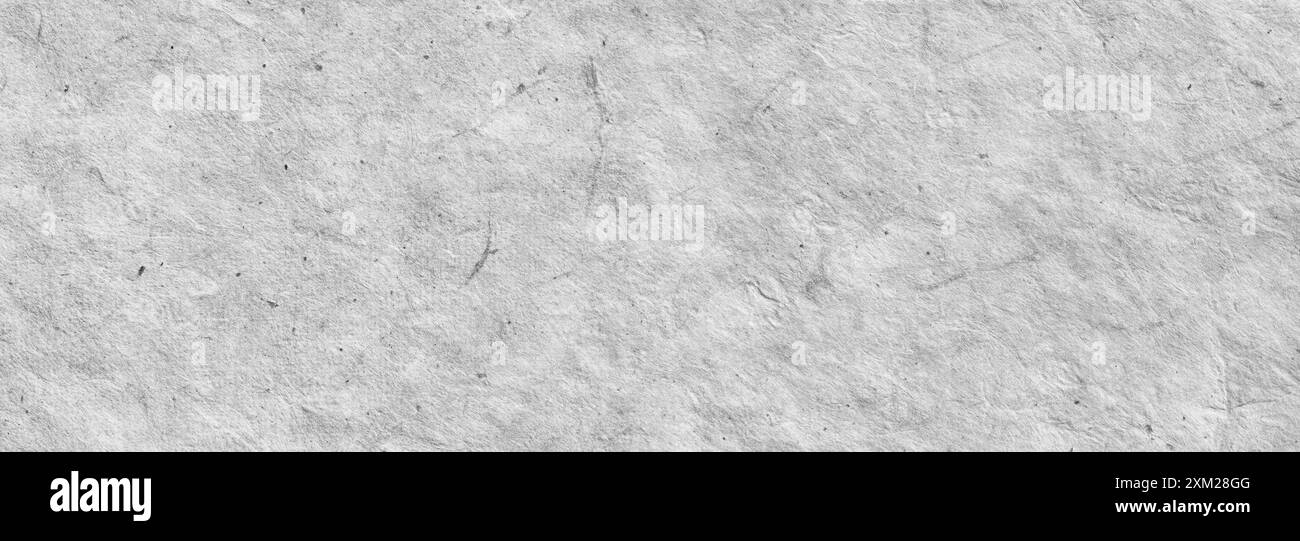 Fond de papier fait à la main gris texturé froissé. Bannière horizontale noire et blanche, fond pour la conception Banque D'Images