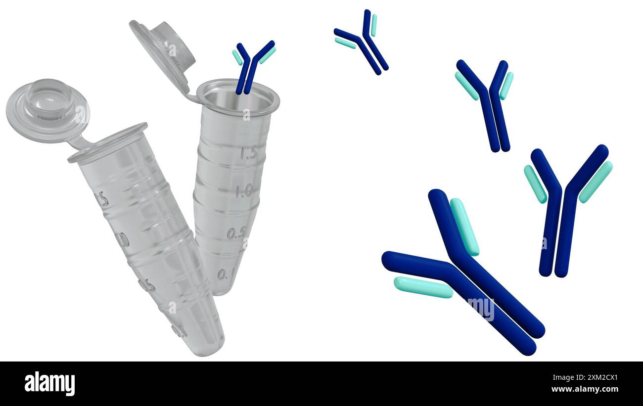 Le rendu 3d des tubes Eppendorf est souvent utilisé dans la recherche pour stocker et purifier les anticorps. Ils peuvent également être utilisés pour mélanger des anticorps avec d'autres réactifs Banque D'Images