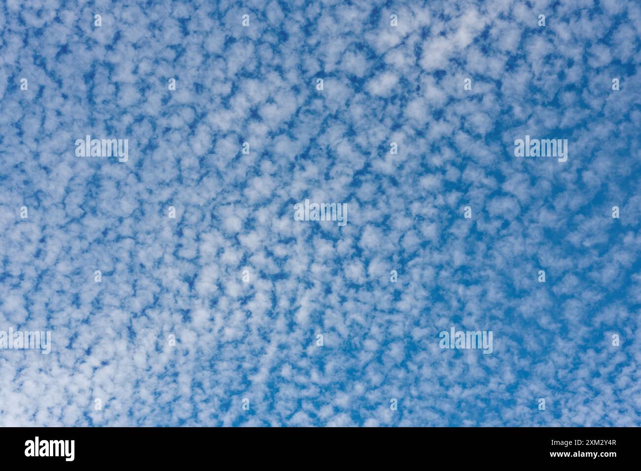 Motif dramatique et formes formées par un ciel de maquereau, des nuages de cirrocumulus Banque D'Images