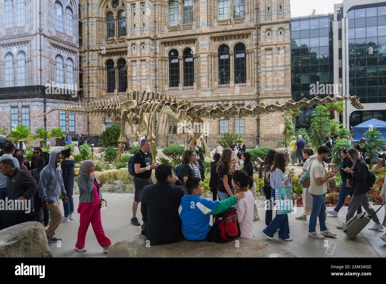 Londres, Royaume-Uni. 25 juillet 2024. Visiteurs dans les jardins de dinosaures du Jurassique nouvellement transformés au Musée d'histoire naturelle dans le cadre de son projet de nature urbaine, avec un espace vert de cinq acres, et comprend un nouveau moulage en bronze du Diplodocus (Dippy) du musée dans le jardin Jurassique . Les jardins nouvellement transformés du musée offriront aux visiteurs un espace extérieur pour se reposer, se détendre et se connecter avec la nature. Credit : Amer Ghazzal/Alamy Live News Banque D'Images