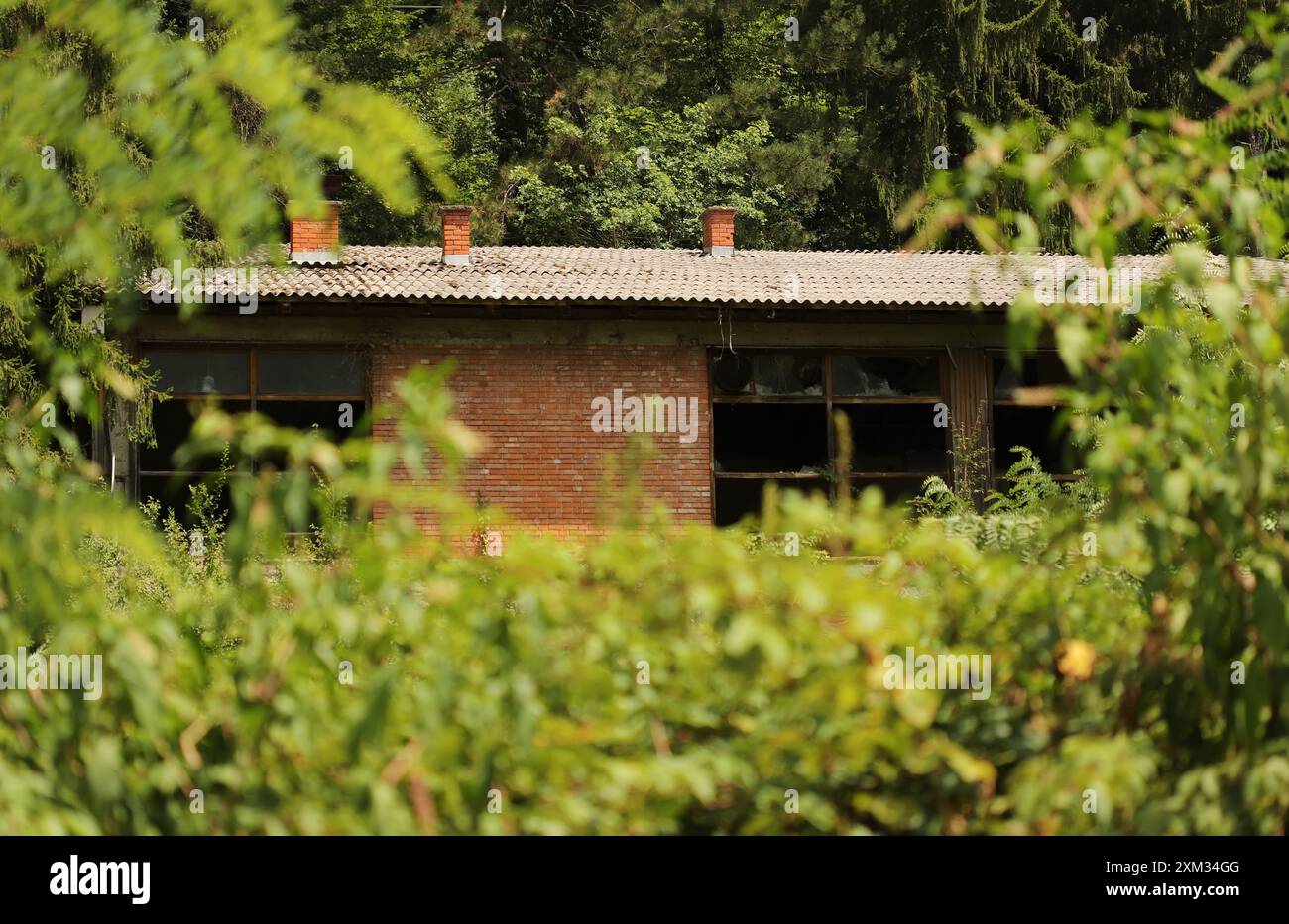 Vieille maison dans les bois Banque D'Images