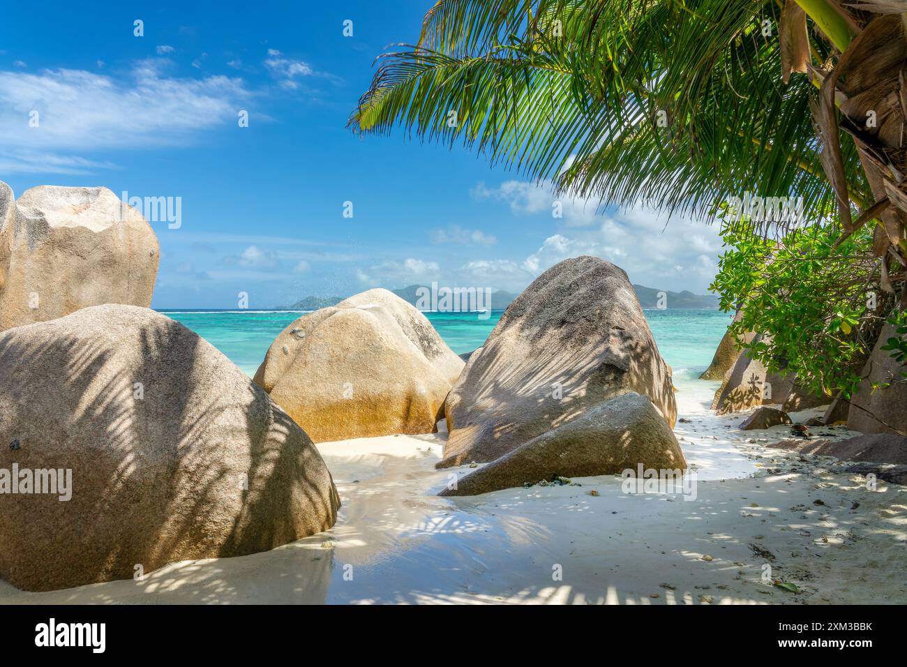 Roches granitiques et palmiers sur la pittoresque plage de sable tropical Anse Source d'argent, île de la Digue, Seychelles Banque D'Images