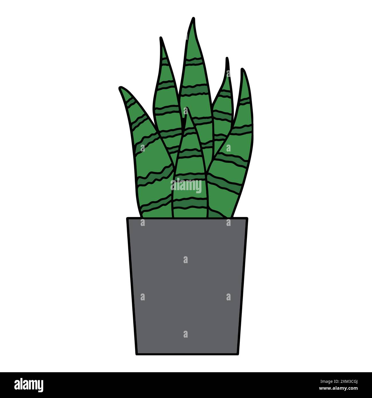 Un pot de fleurs haut gris simple avec plusieurs fleurs Sansevieria Illustration de Vecteur