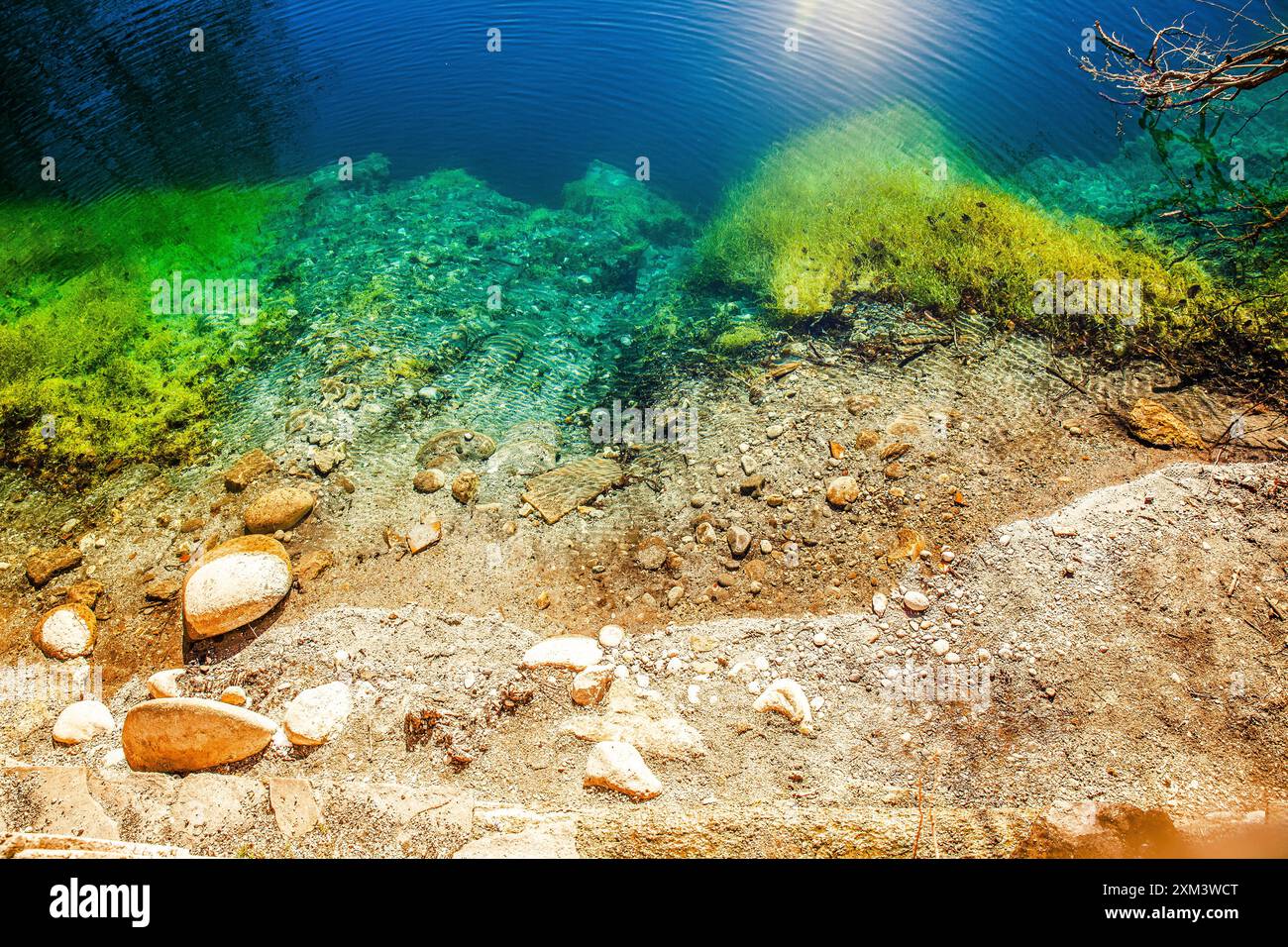 Paysage avec un beau lac bleu clair et des algues vert vif dans l'eau Banque D'Images