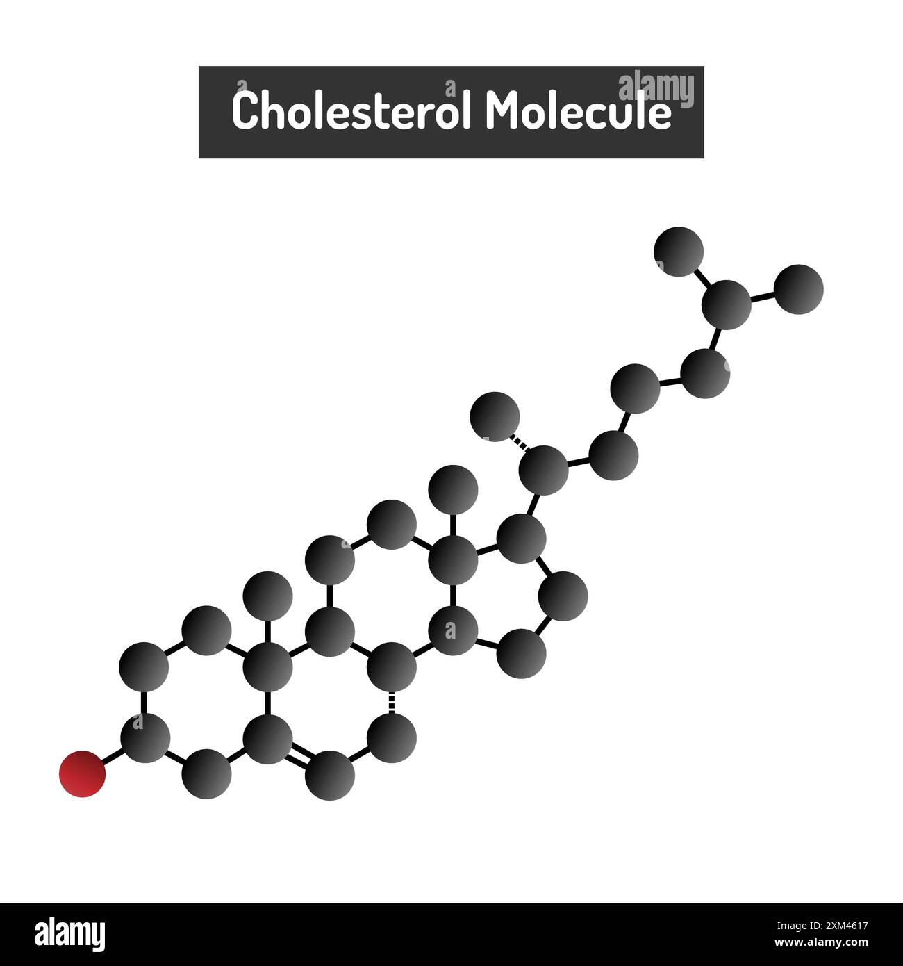 Molécule de cholestérol - structure, fonctions et impact sur la santé Illustration de Vecteur