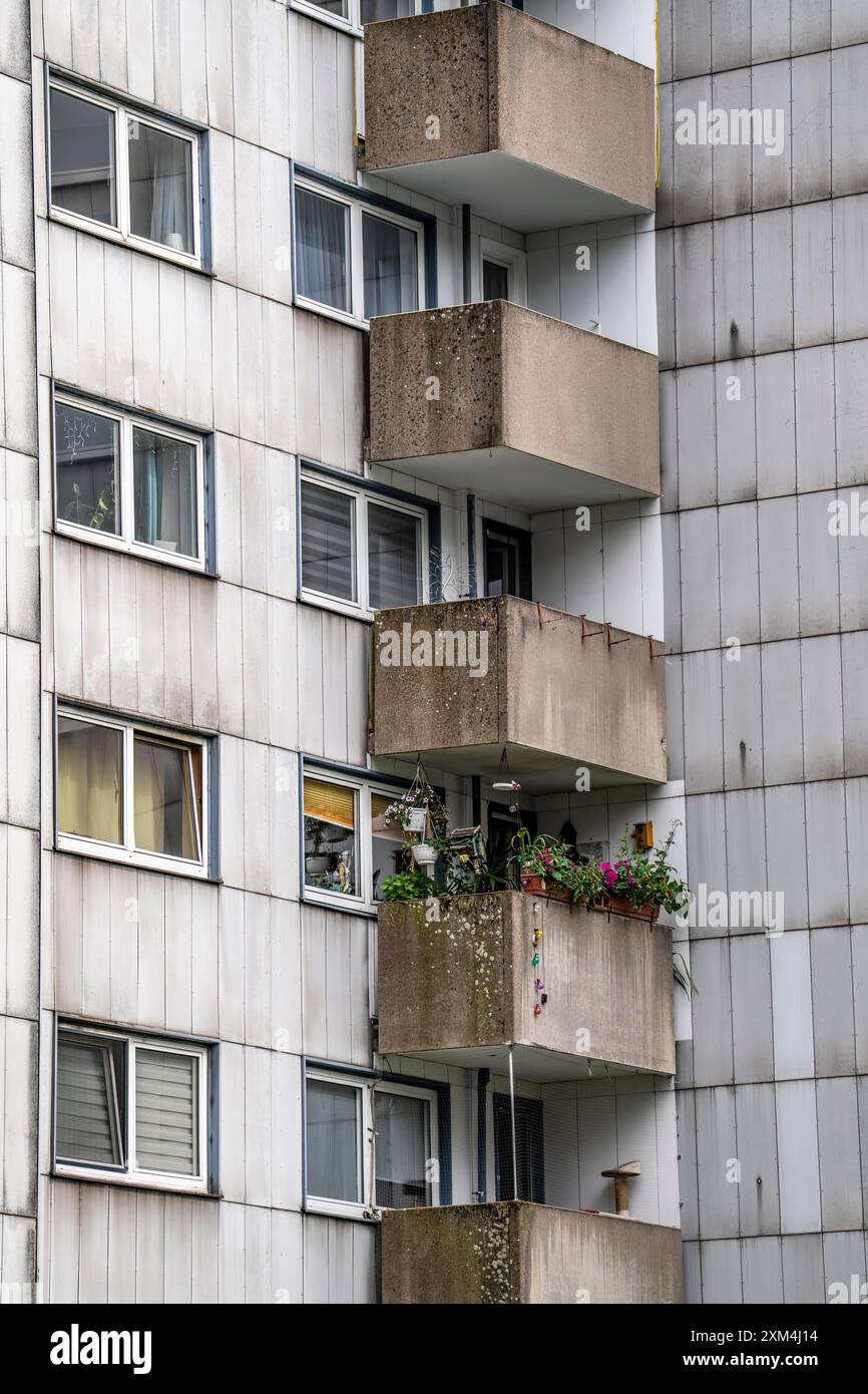 Ancien immeuble de grande hauteur à Duisburg-Neuenkamp, un seul balcon avec des plantes, Duisburg, NRW, Allemagne, Banque D'Images