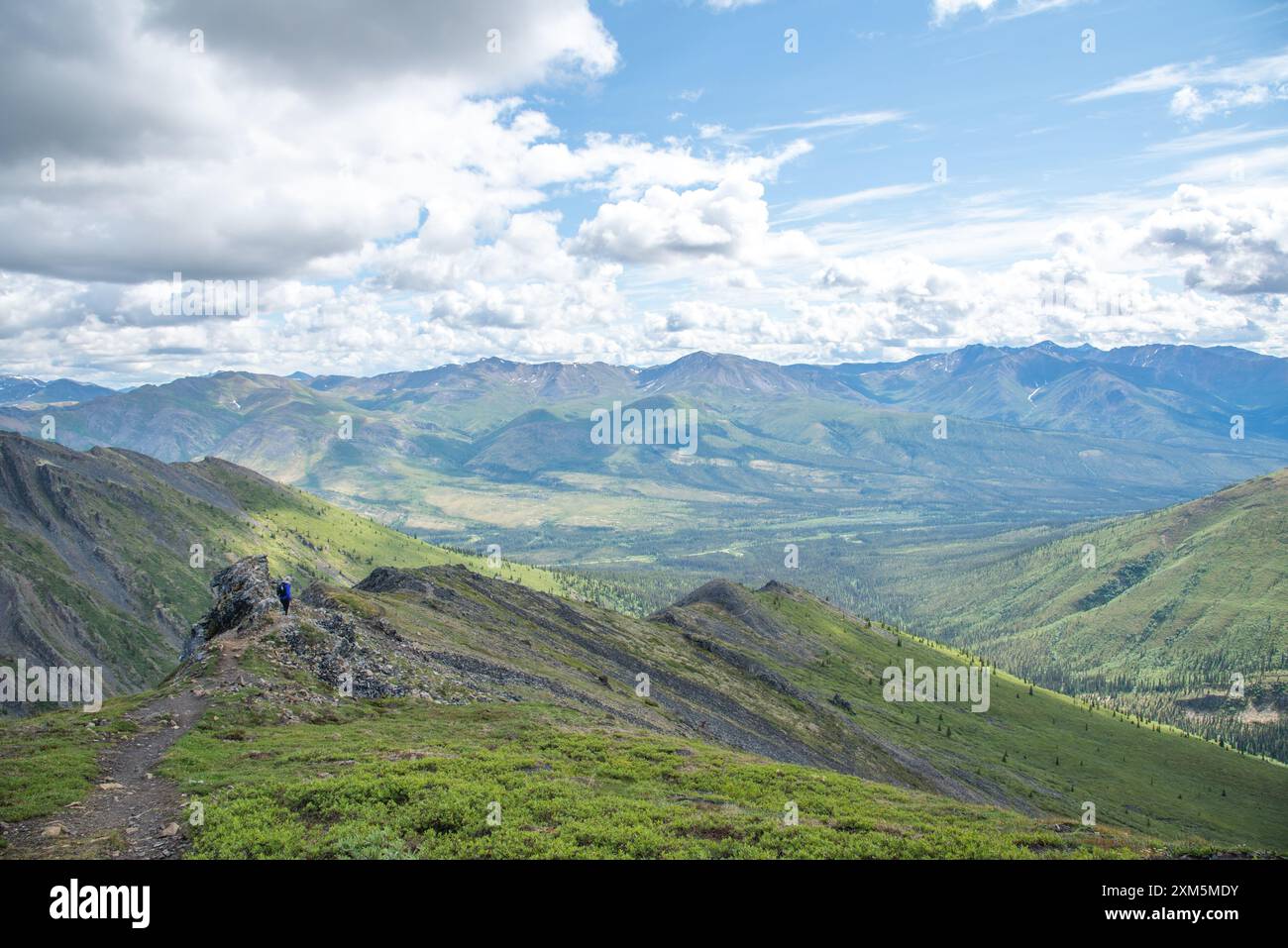 Vue sur les montagnes du parc territorial Tombstone dans le nord du Canada pendant l'été dans la région subarctique. Banque D'Images