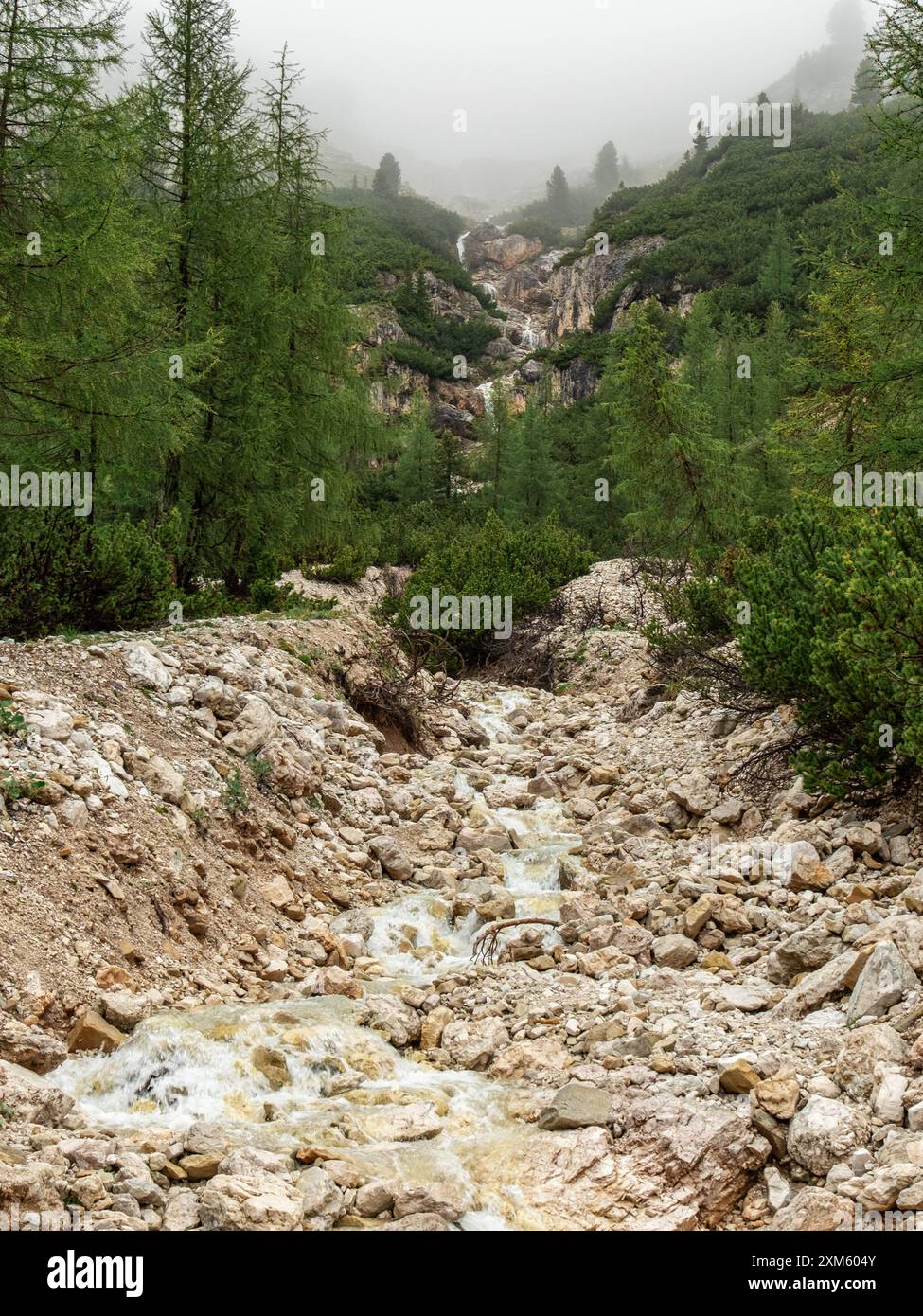 Au milieu des bois alpins tranquilles, cette cascade cachée ajoute une touche de magie à la beauté enchanteresse de la forêt Banque D'Images