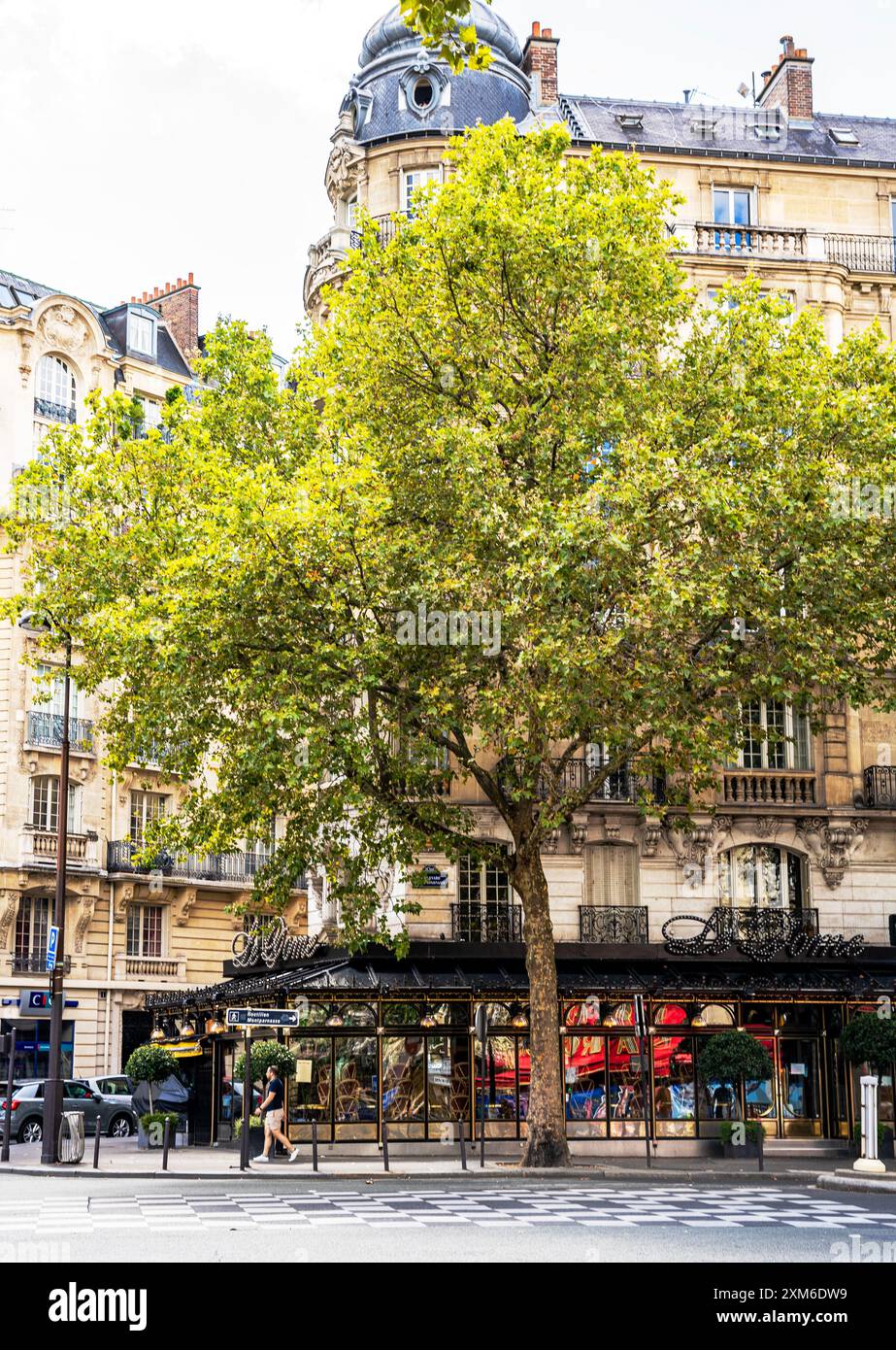 Vue extérieure du Café du Dome, célèbre café et restaurant parisien du quartier Montparnasse, centre-ville de Paris, France Banque D'Images