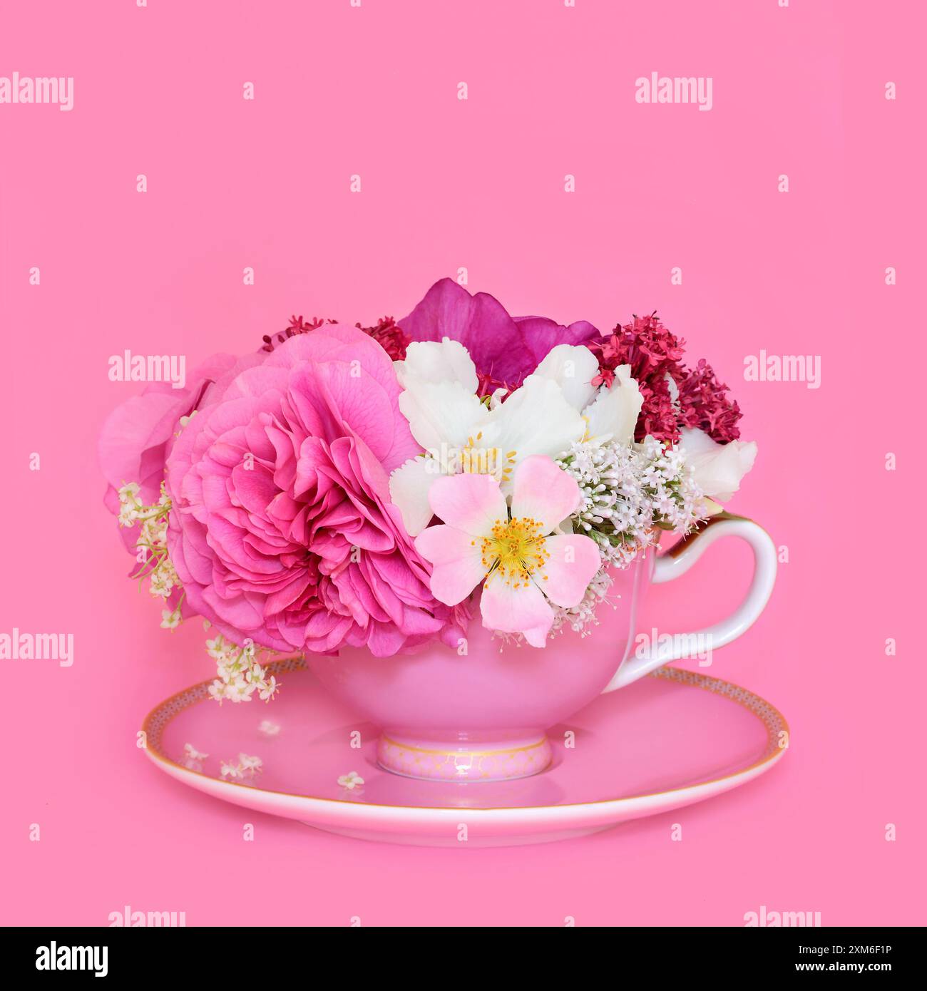 Arrangement de fleurs d'été dans une tasse de thé sur fond rose. Boisson naturelle alternative à base de plantes médicinales. Anxiété et soulagement du stress. Nourriture surréaliste Banque D'Images