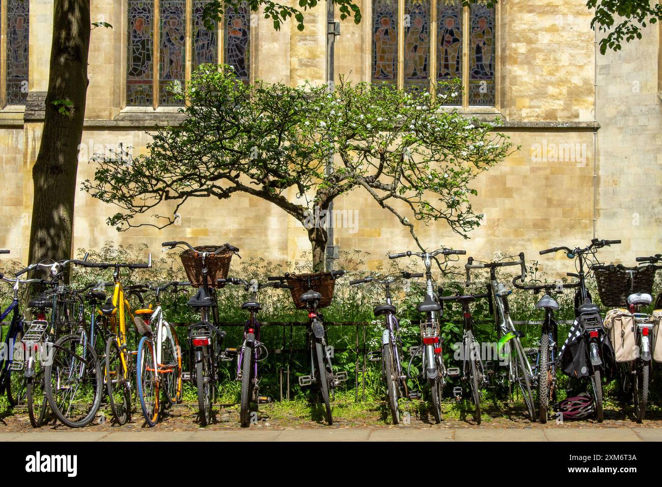 Une ligne de vélos enfermés sur des stands de vélo à Cambridge, en Angleterre Banque D'Images