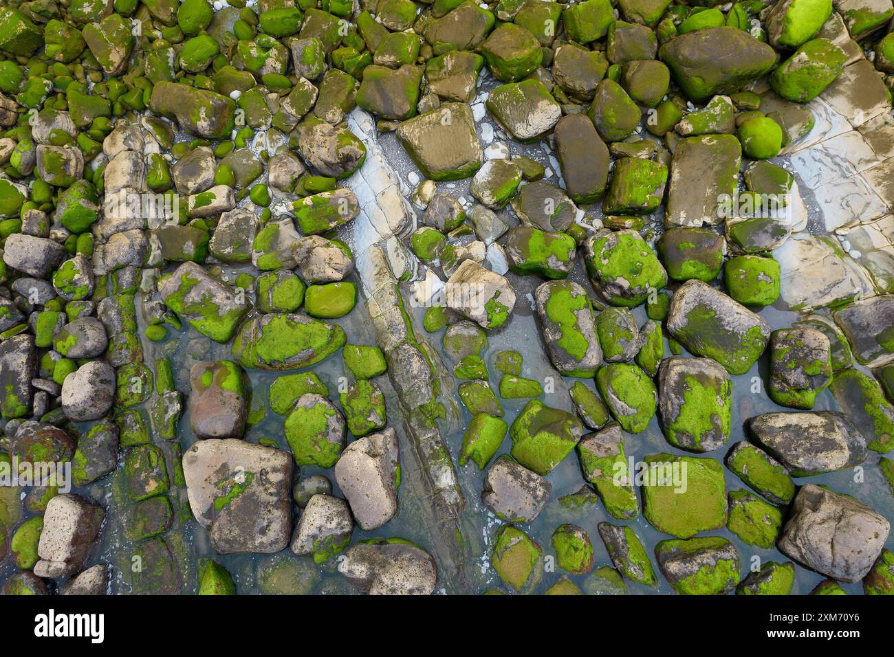 Rochers sur la côte, Getaria, Gipuzkoa, Espagne Banque D'Images