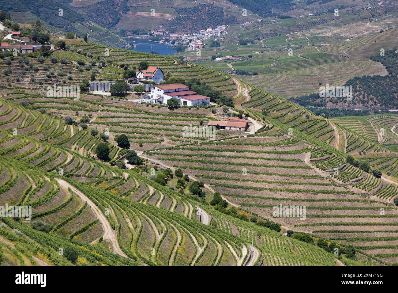 Vallée du Douro près de Pinhao, Portugal Banque D'Images