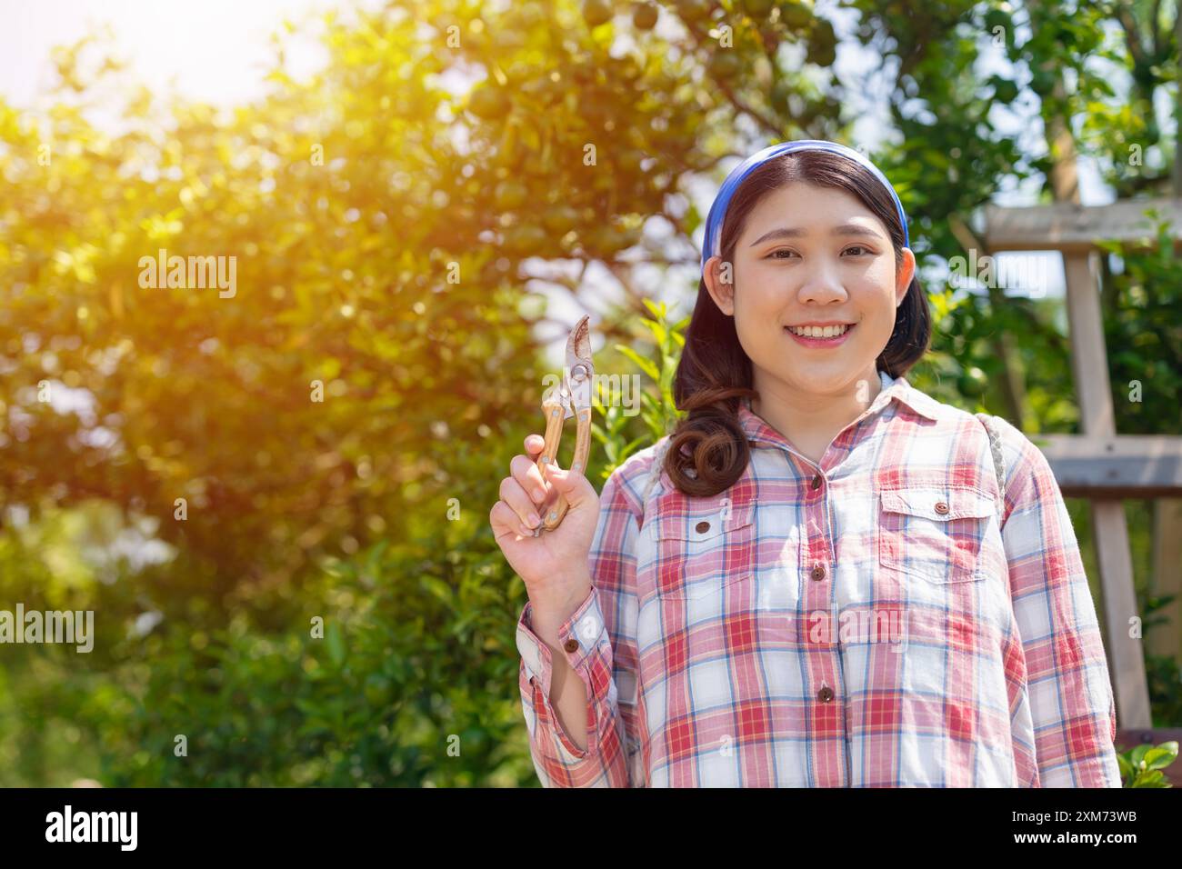 femmes heureuses dans la ferme orange. campagne femme asiatique travaillant dans l'agriculture biologique de l'arbre fruitier orangé. Banque D'Images