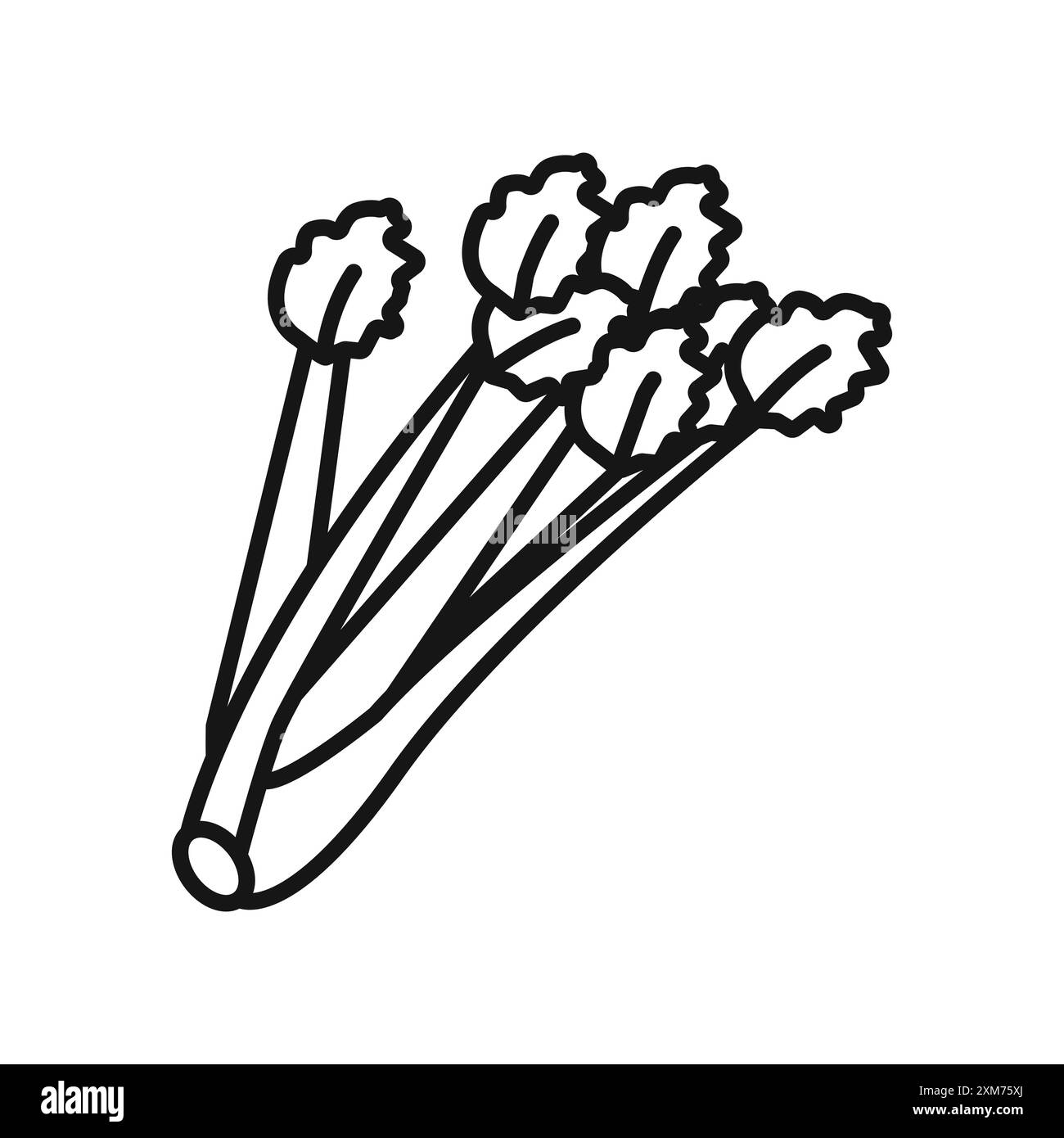 Icône de céleri vecteur d'art de ligne noire dans le signe de collection d'ensemble de contour noir et blanc Illustration de Vecteur