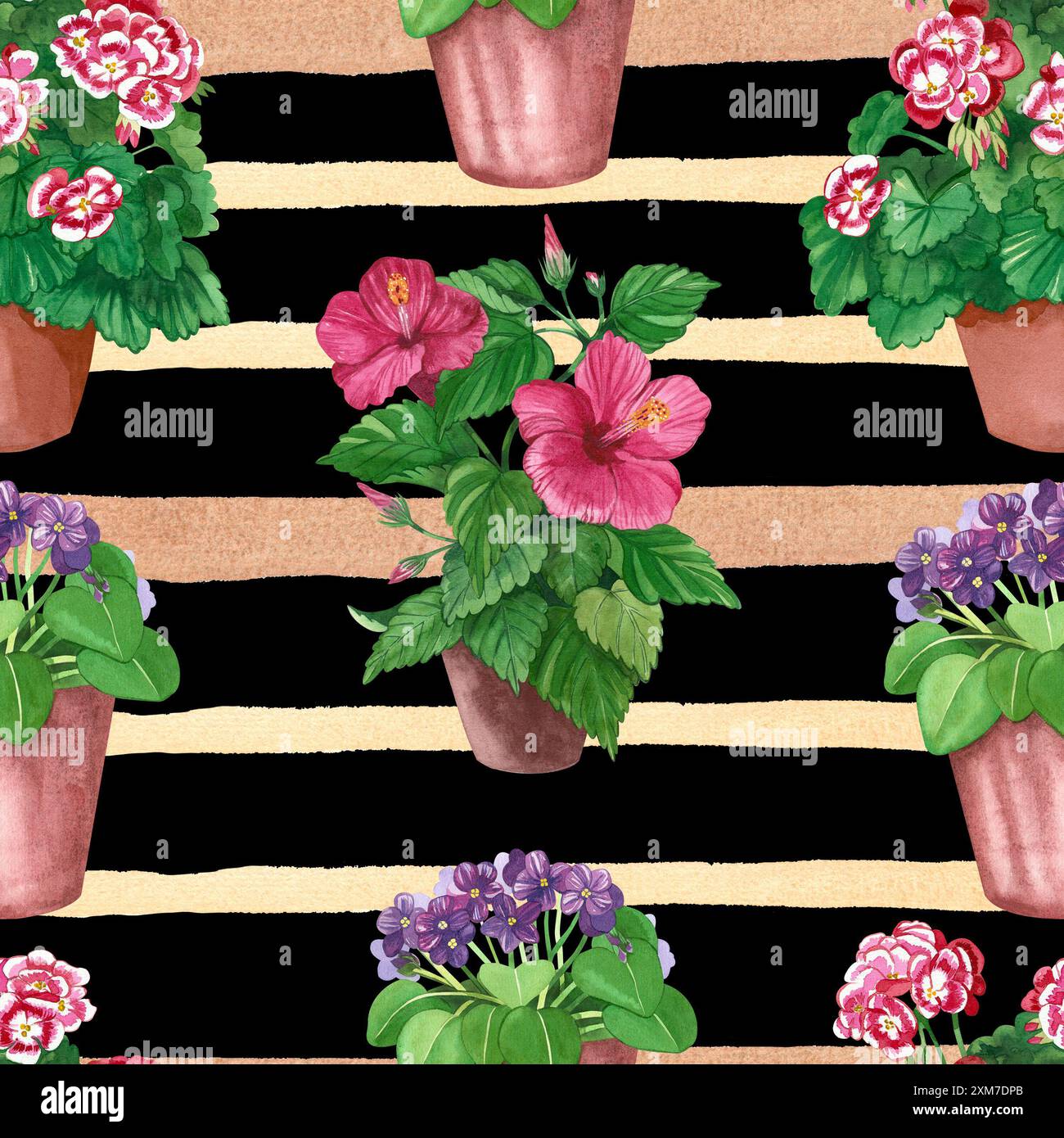 Motif aquarelle. Fleurs d'intérieur lumineuses dans des pots sur un fond rayé. Hibiscus, géranium, violet peint à la main à l'aquarelle. Banque D'Images