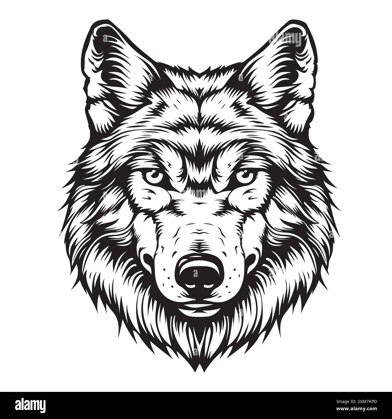 Portrait d'une tête de loup sur fond blanc. Illustration de Vecteur