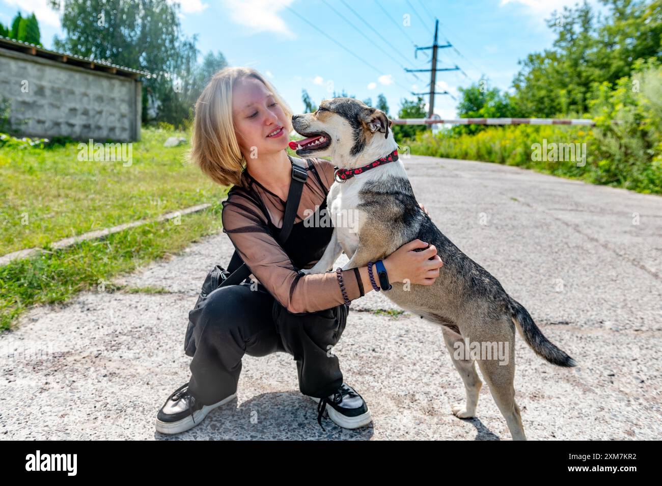 Chien à l'abri. Bénévole de refuge pour animaux prend soin des chiens. Chien solitaire avec femme joyeuse bénévole. Banque D'Images