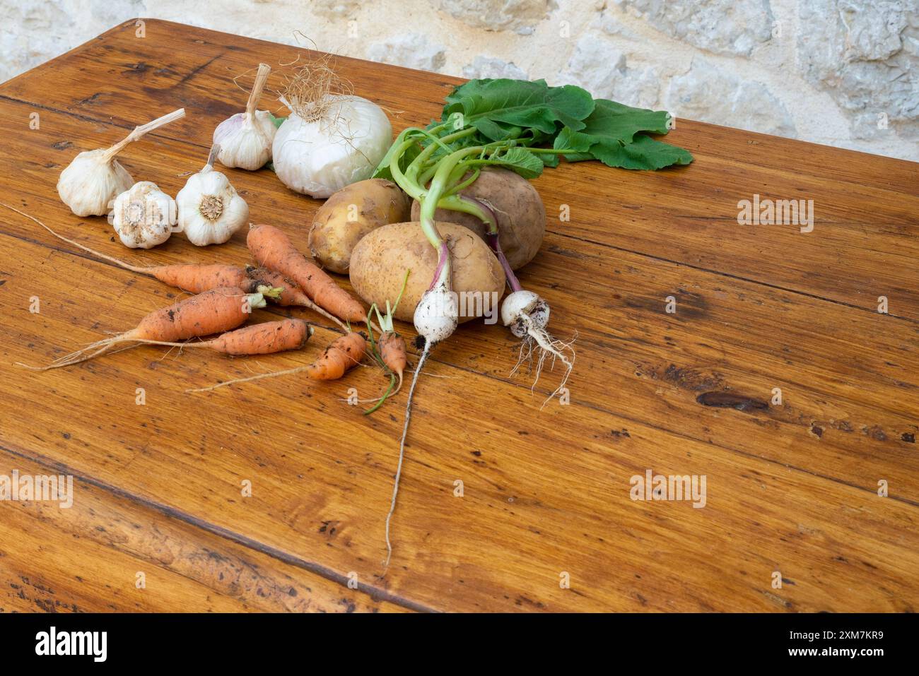 Légumes frais : pommes de terre, carottes, têtes d'ail, radis, oignon. Avec espace de copie. Produits d'agricolture sains cultivés à la maison sur une table en bois à l'avant Banque D'Images