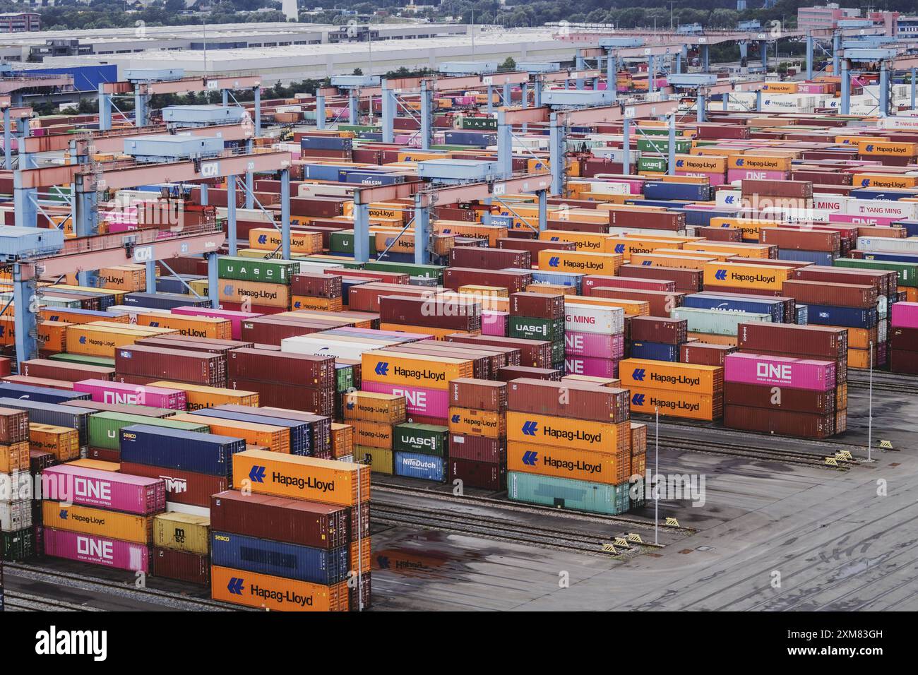 Container-terminal Altenwerder à Hambourg, 26.07.2024. / Fotografiert im Auftrag des Auswaertigen AMTES. Hamburg Deutschland *** Container terminal Al Banque D'Images