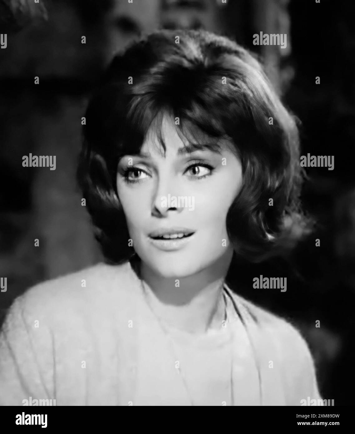 Virna Lisi. Portrait de l'actrice italienne Virna Lisa Pieralisi (1936-2014) dans Signore & Signori (1966) Banque D'Images