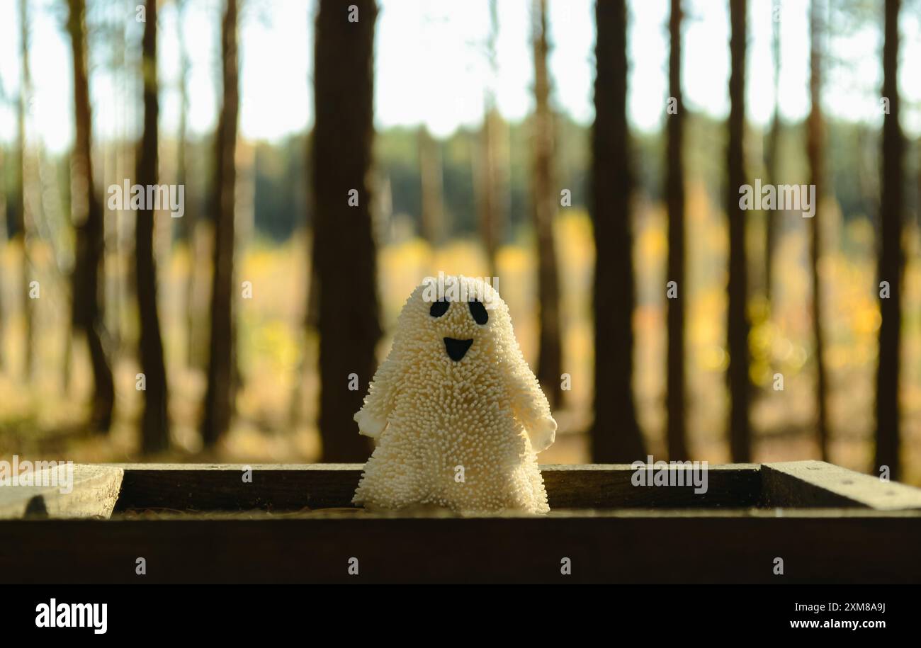 Un jouet fantôme souriant se tient sur une planche de bois sur fond de troncs d'arbres dans la forêt Banque D'Images