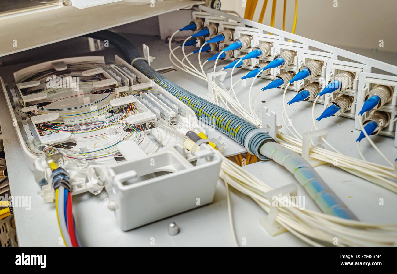 câblage interne du panneau de brassage optique dans l'armoire murale pour la transmission du signal via des câbles optiques Banque D'Images