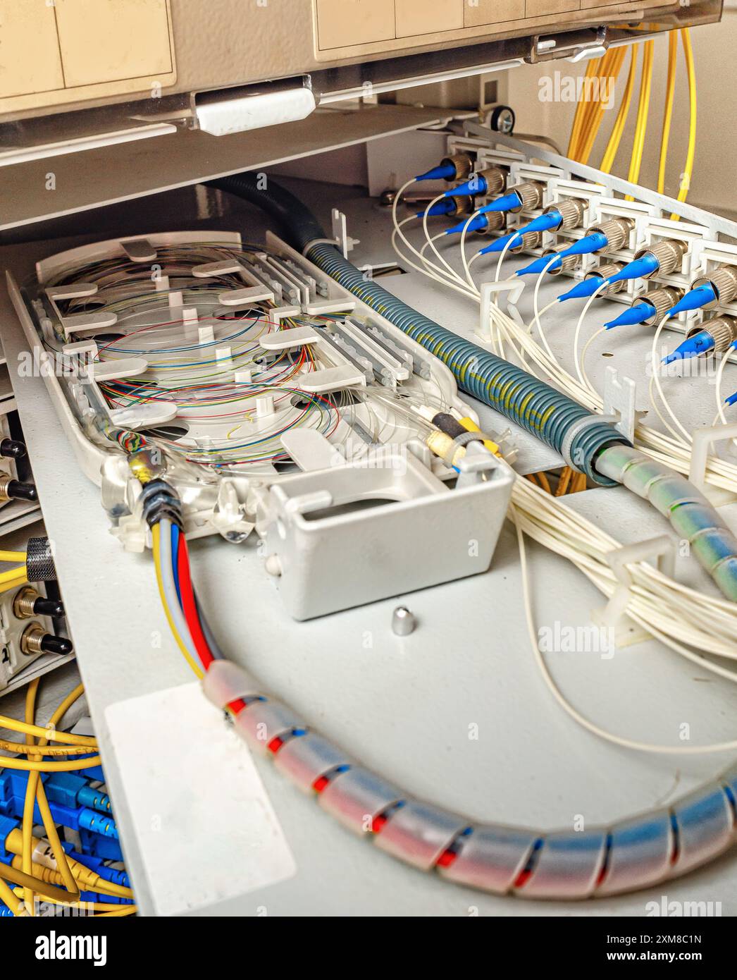 câblage interne du panneau de brassage optique dans l'armoire murale pour la transmission du signal via des câbles optiques Banque D'Images