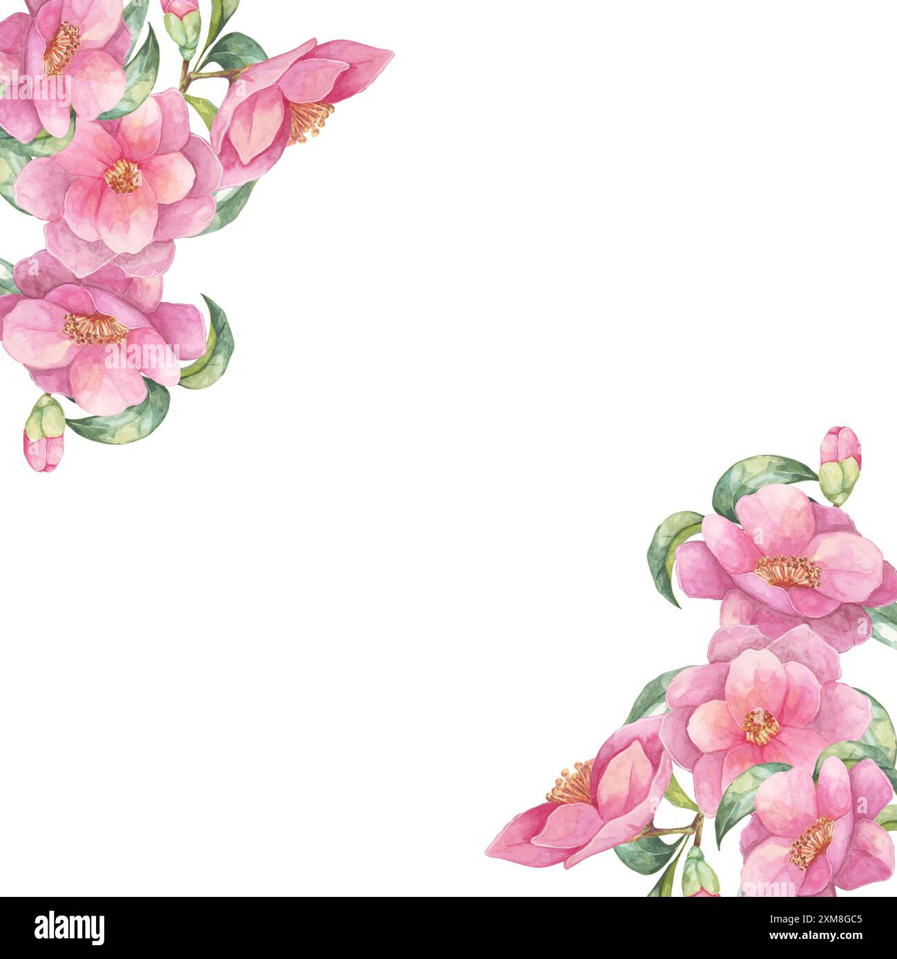 Fleur de Camellia japonica. Clipart aquarelle avec des fleurs roses avec des feuilles vertes dans les coins d'un cadre carré. Design élégant floral parfait pour les invitations, les cartes de vœux et la papeterie Banque D'Images