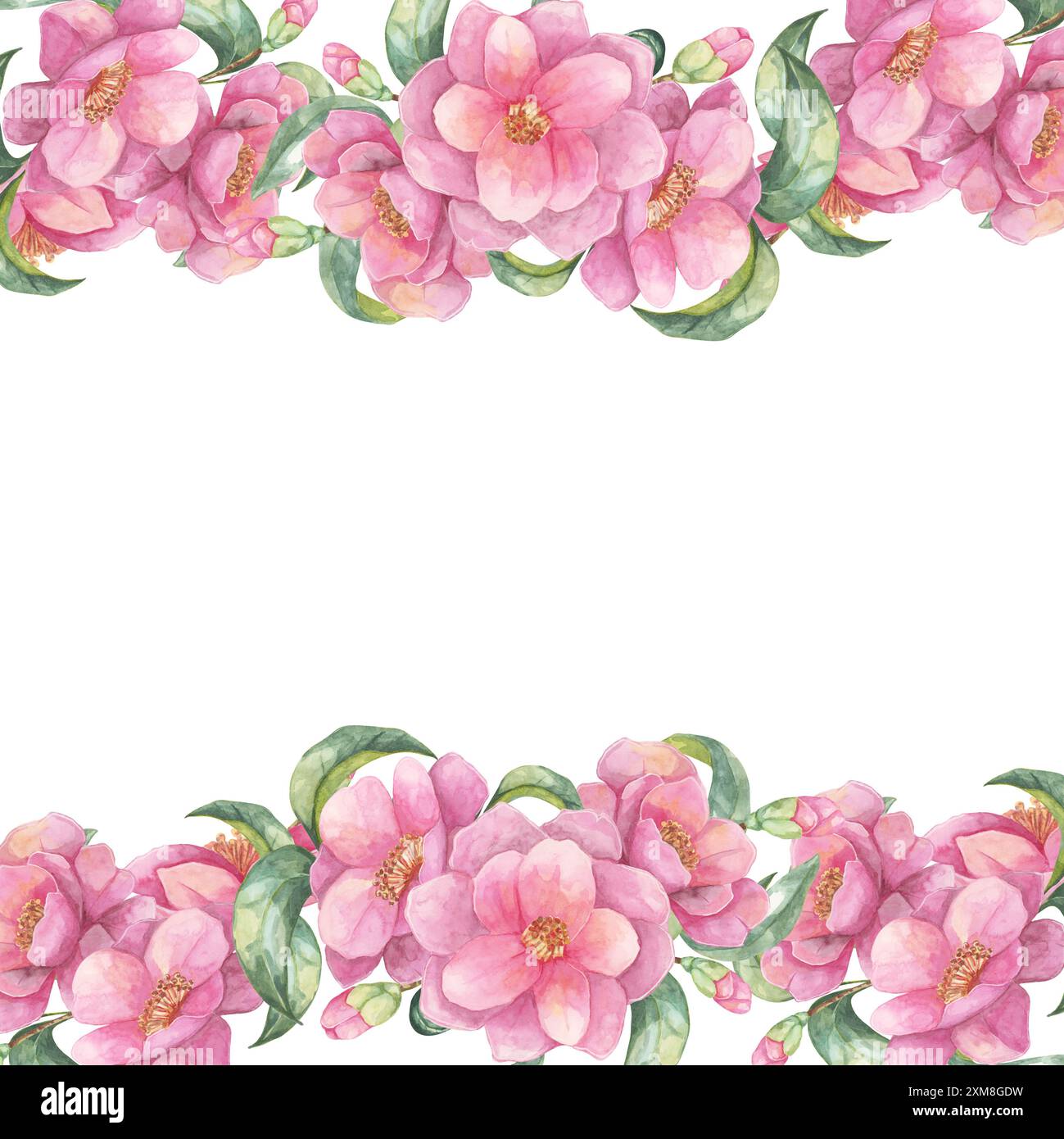Illustration aquarelle Camellia japonica montrant une bordure florale rose sur un côté du cadre carré. Fleurs clipart idéal pour scrapbooking, art imprimable et cadeaux personnalisés Banque D'Images