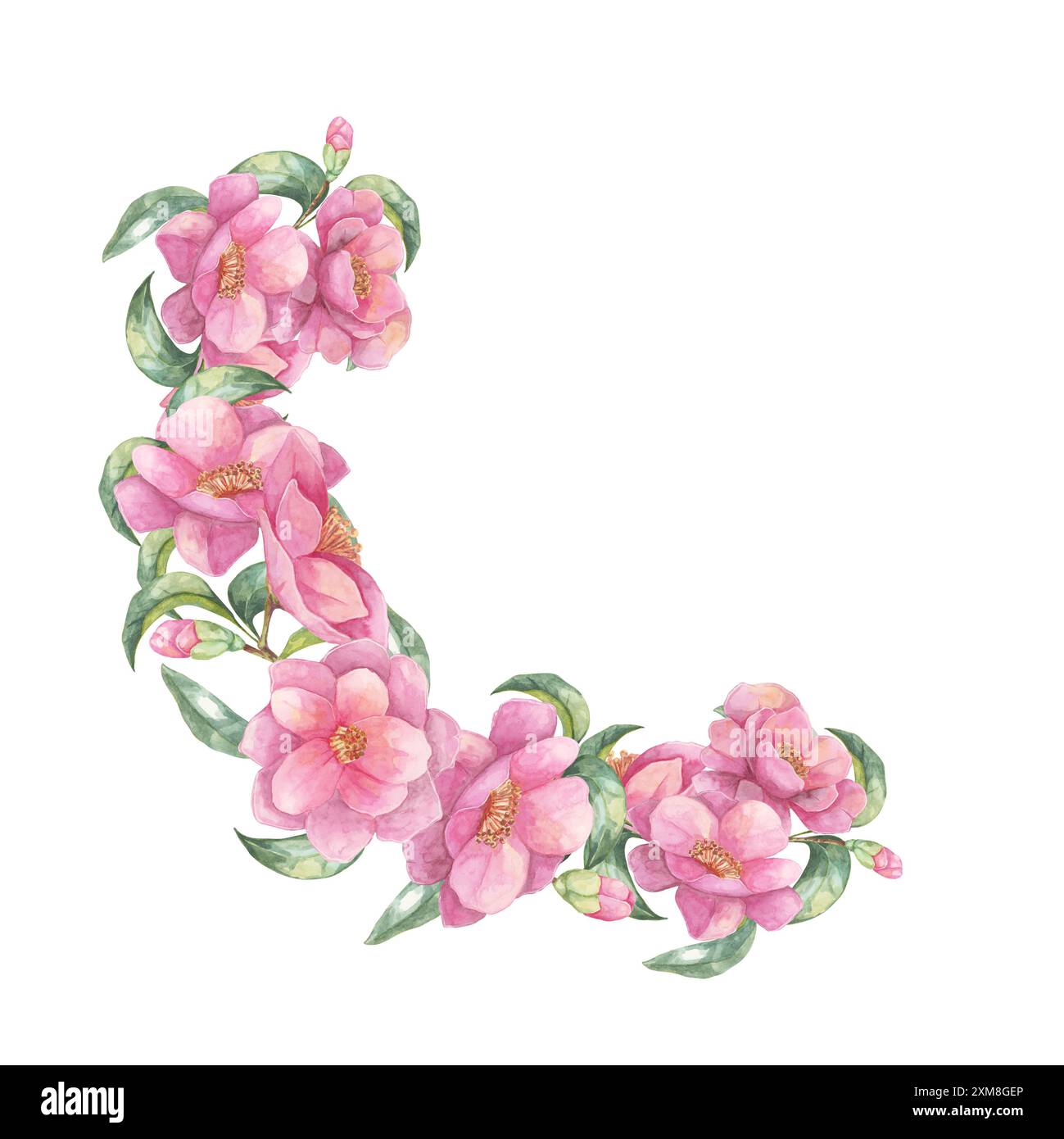 Clipart aquarelle rose camellia japonica avec un cadre floral raffiné. Élément de conception de couronne idéal pour les invitations d'événement, la décoration de mariage, les cartes de voeux et les produits imprimables Banque D'Images