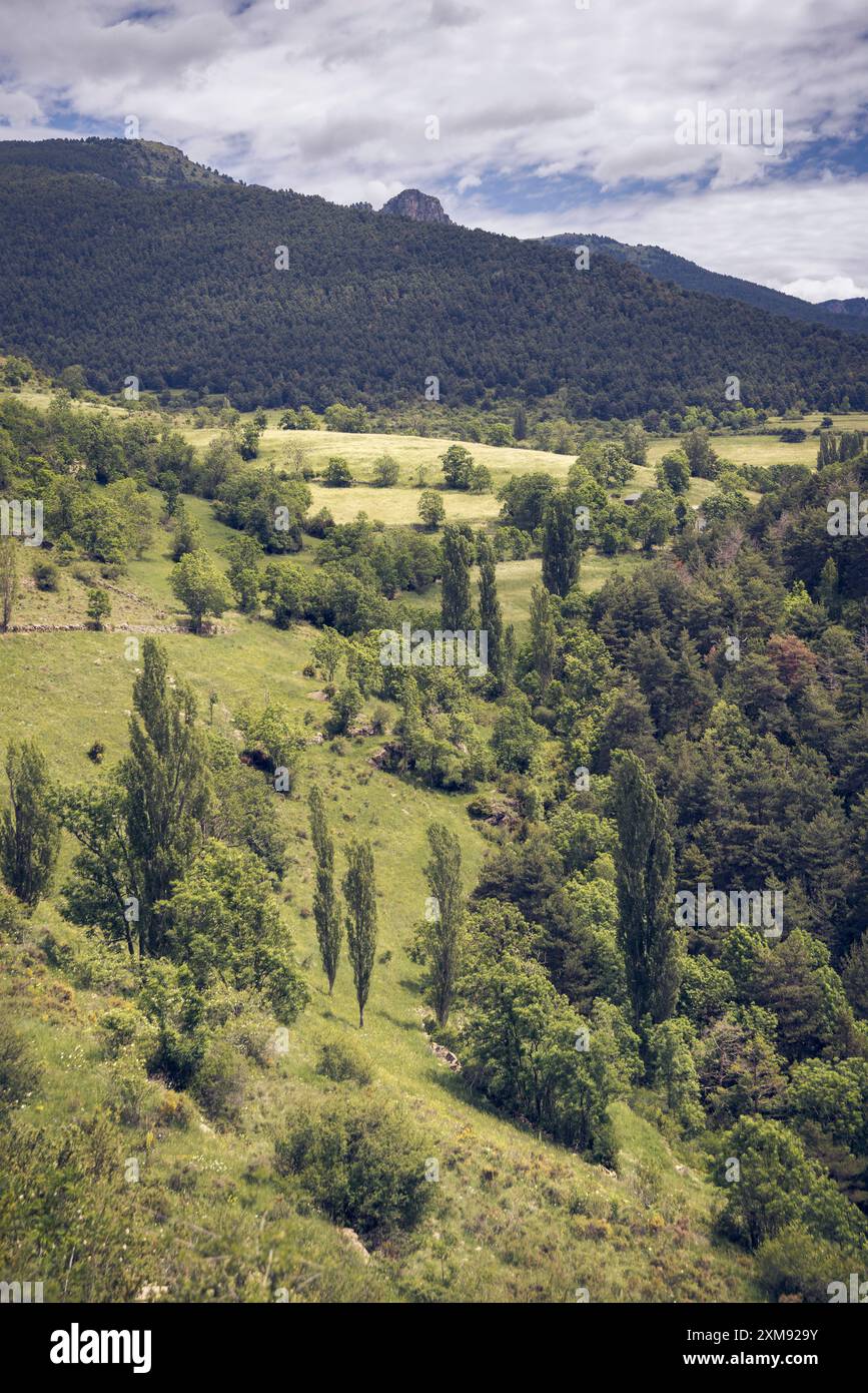 Beau paysage de Cerdagne, Catalogne présentant des collines verdoyantes, des arbres et des montagnes sous un ciel nuageux. Banque D'Images