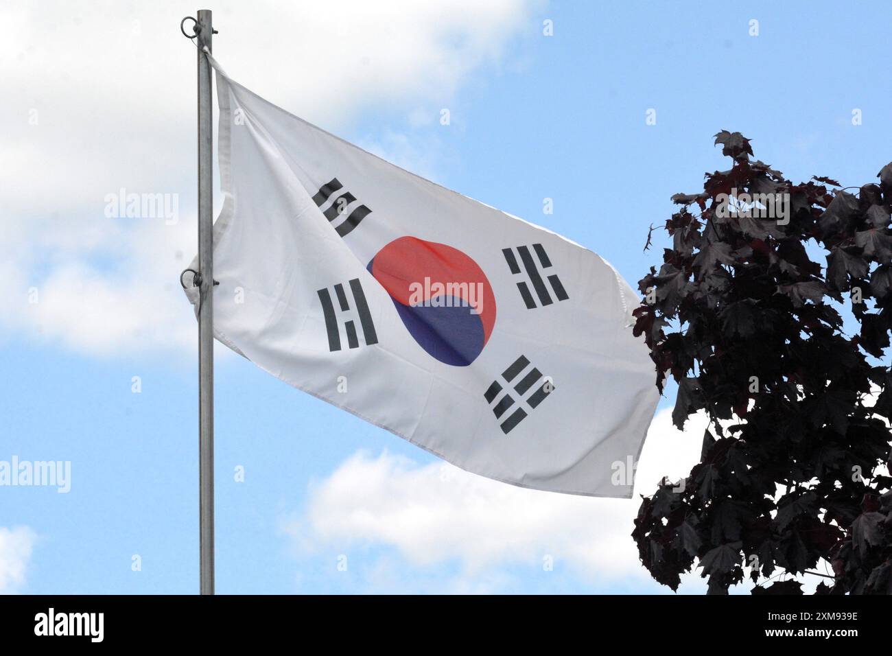 Le drapeau national de la République de Corée (Corée du Sud) flotte sur un mât de drapeau par une belle journée d'été avec un fond de ciel bleu et de nuages blancs. Banque D'Images