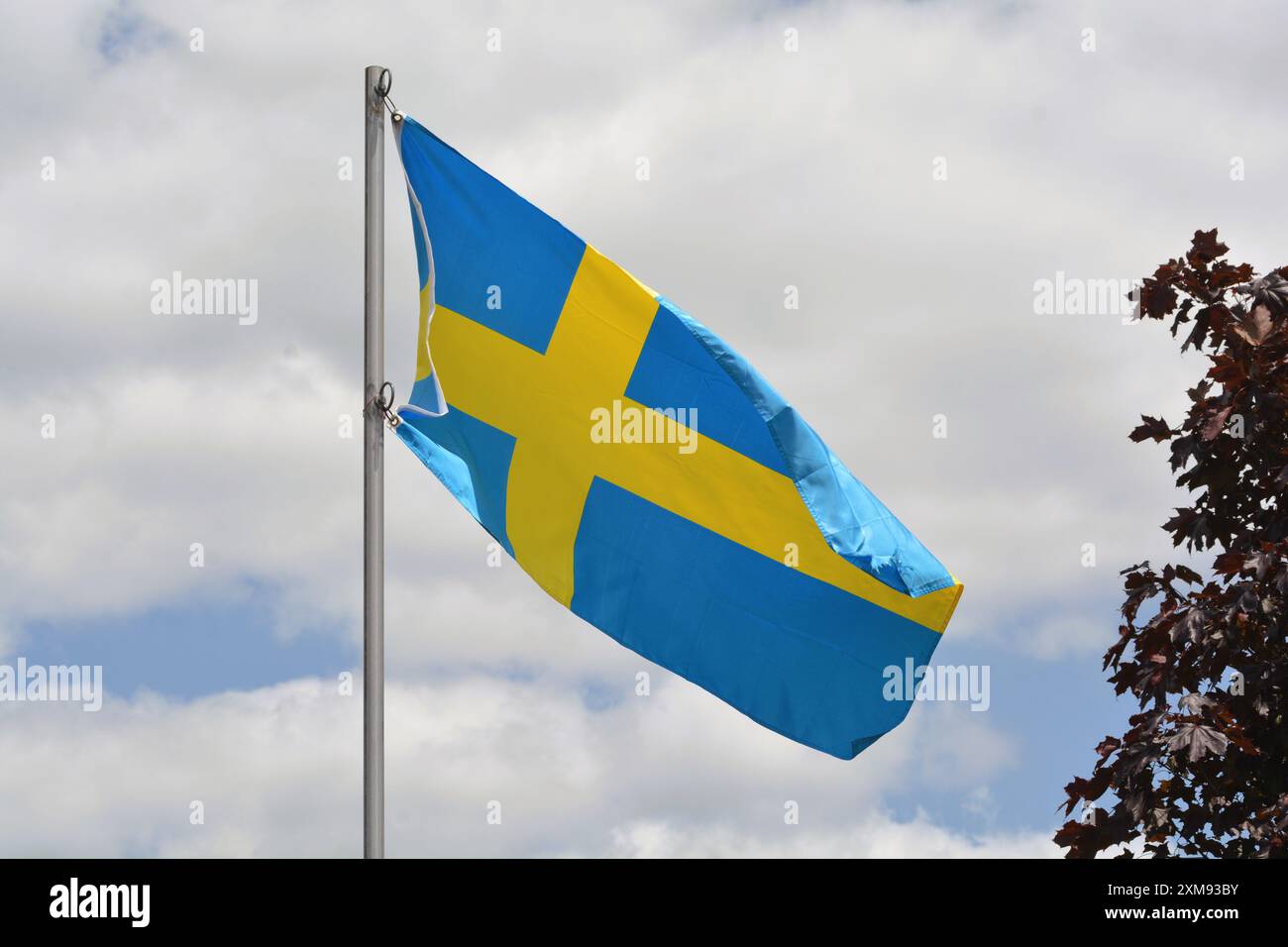 Le drapeau national de la Suède flotte sur un mât de drapeau par une belle journée d'été avec un fond de ciel bleu et de nuages blancs. Banque D'Images