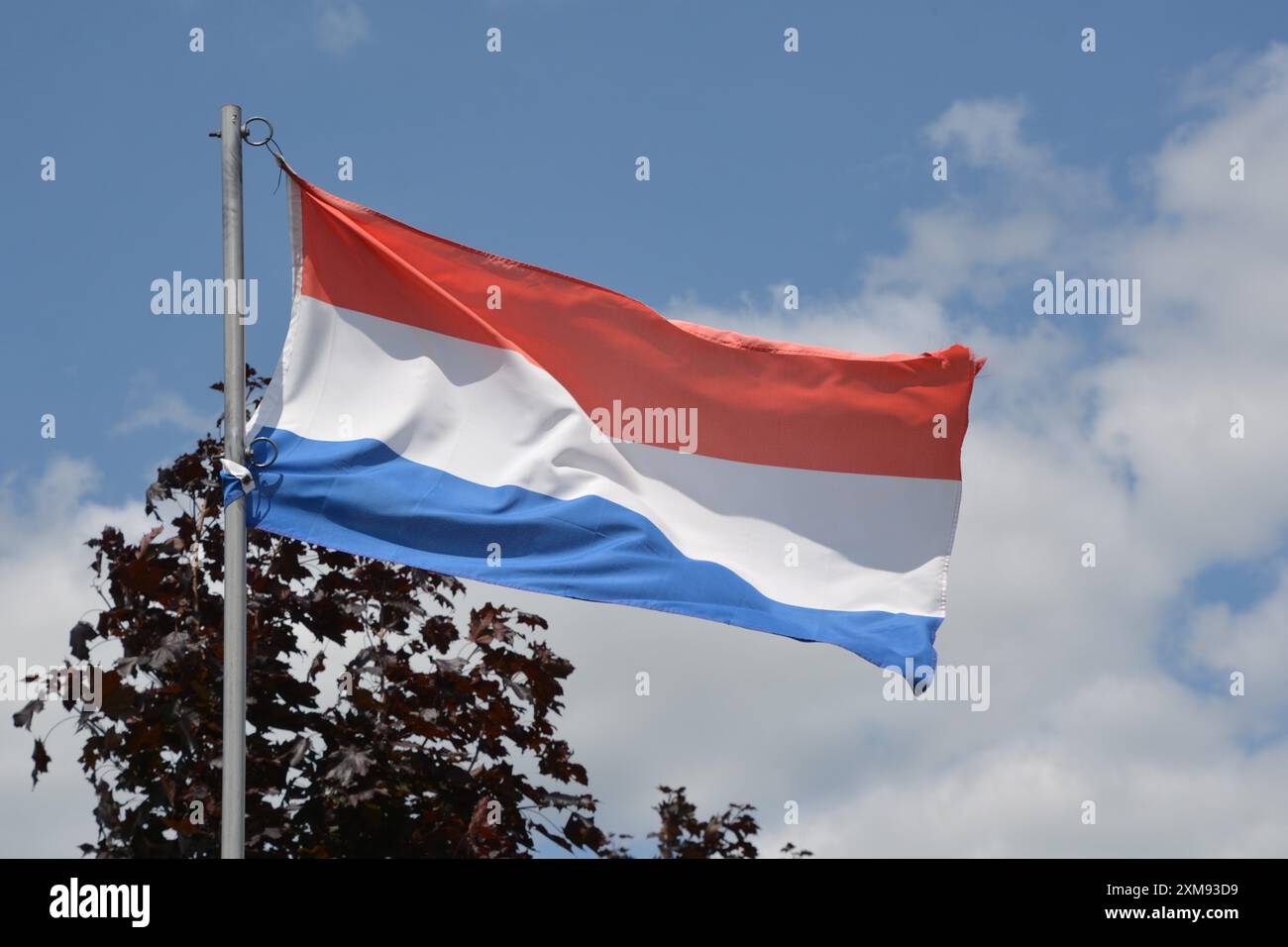 Le drapeau national des pays-Bas flotte sur un mât de drapeau par une belle journée d'été avec un fond de ciel bleu et de nuages blancs. Banque D'Images