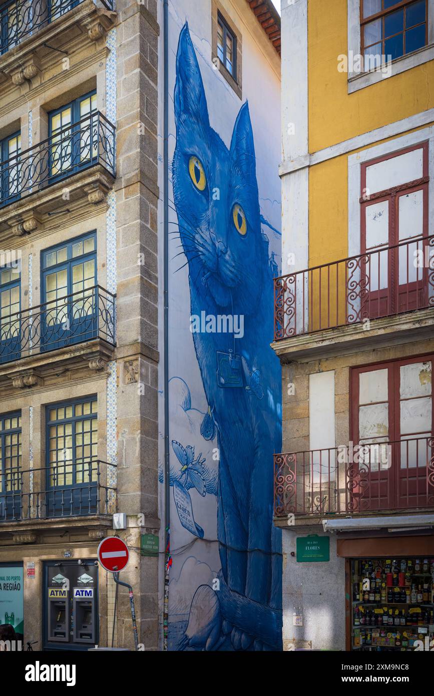 Œuvre d'art à Porto, Portugal par l'artiste galicien Liqen nommée "Perspéntico" ou "Cobalt Cat". Banque D'Images
