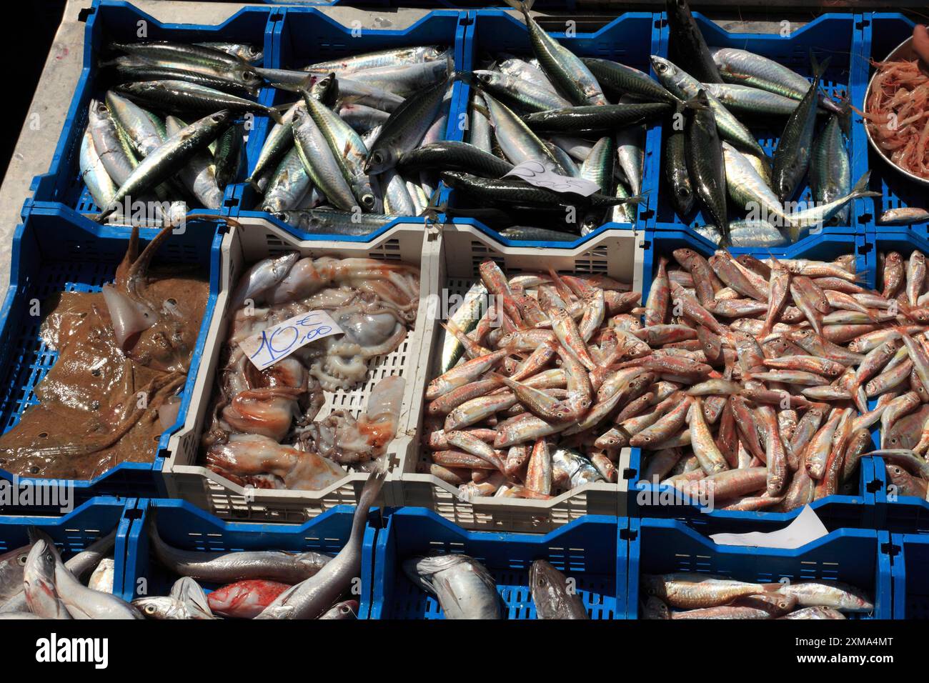Poisson frais au marché historique de Catane, Catane, Sicile, Italie Banque D'Images
