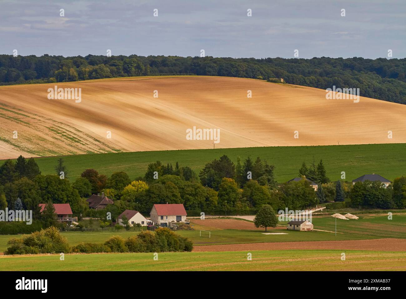 Paysage de Champagne. Région Champagne -Ardenne France Banque D'Images