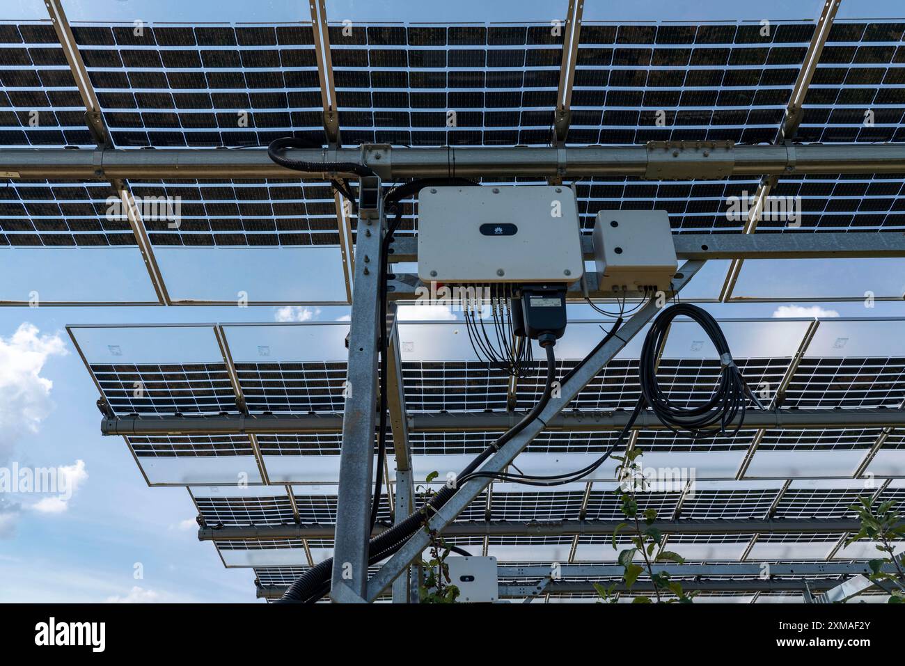 Onduleur, usine d'essai agrophotovoltaïque, un verger de pommiers avec deux systèmes différents de modules photovoltaïques a été couvert sur 3000 mètres carrés, pluie et Banque D'Images