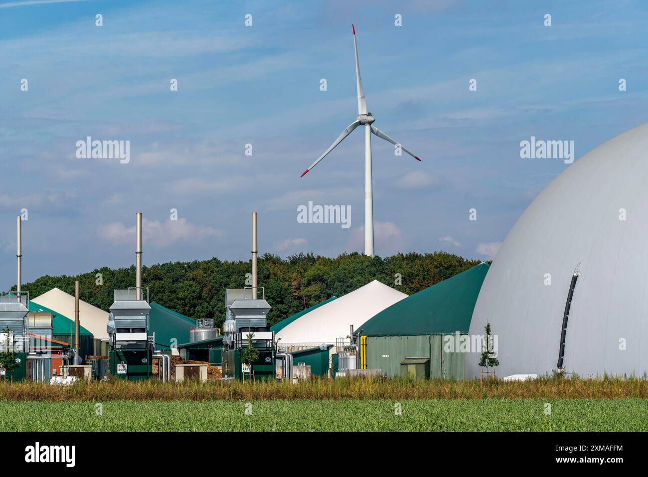 Installations de biogaz, centrales de production combinée de chaleur et d'électricité, pour la production d'électricité, stockage de gaz en forme de dôme, centrale éolienne, Rietberg, Rhénanie-du-Nord-Westphalie Banque D'Images Installations de biogaz, centrales de production combinée de chaleur et d'électricité, pour la production d'électricité, stockage de gaz en forme de dôme, centrale éolienne, Rietberg, Rhénanie-du-Nord-Westphalie Banque D'Images