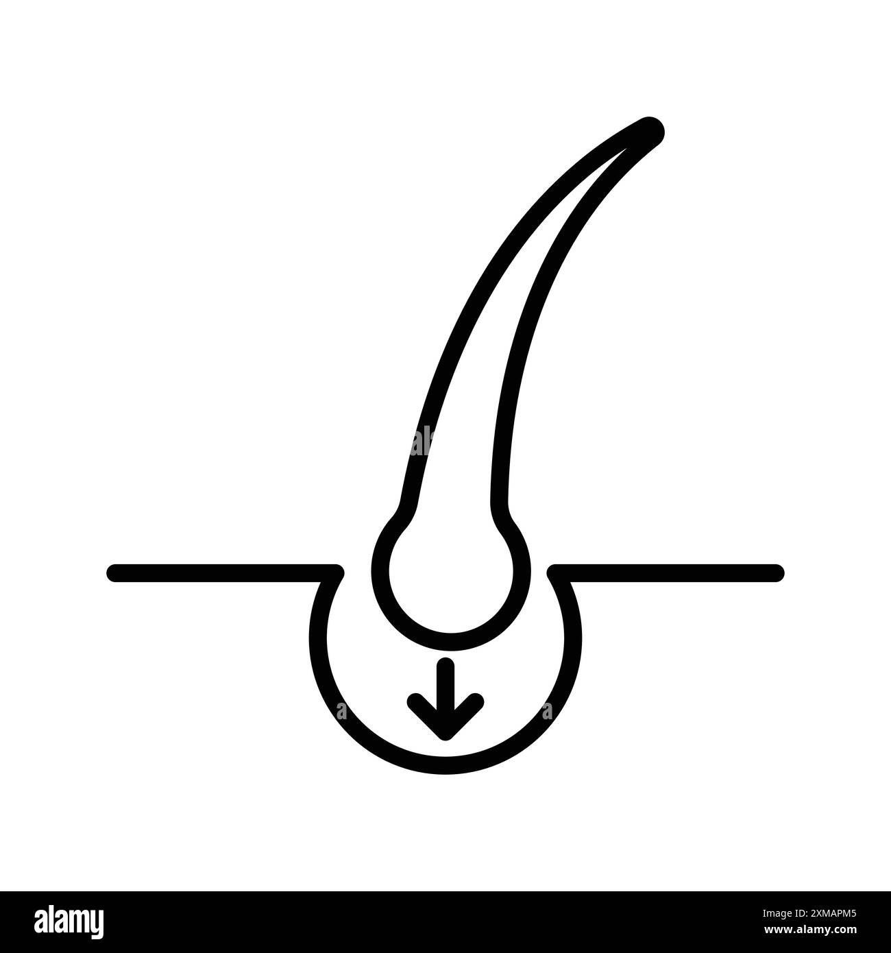 hair transplant icon linear logo mark set collection en noir et blanc pour le web Illustration de Vecteur
