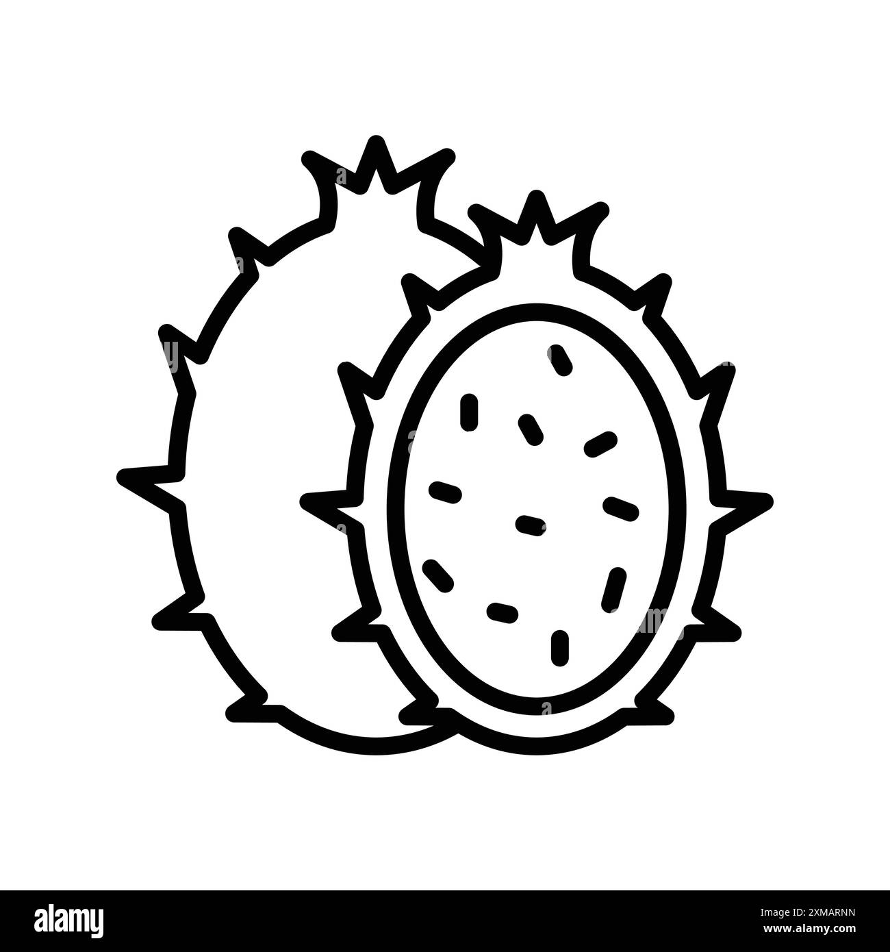 pitaya icon linéaire logo mark set collection en noir et blanc pour le web Illustration de Vecteur
