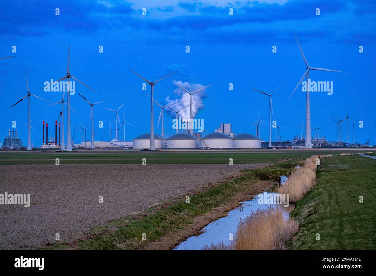 Terminal de réservoirs de Vopak dans le port industriel d'Eemshaven, centrale à charbon RWE Eemshavencentrale, parc éolien, Groningen, pays-Bas Banque D'Images