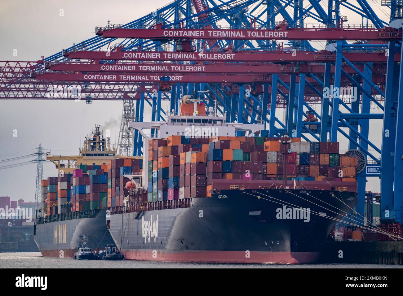 Terminal à conteneurs Tollerort, les navires porte-conteneurs sont chargés et déchargés, l'un des 4 terminaux à conteneurs dans le port de Hambourg, Hambourg, Allemagne Banque D'Images