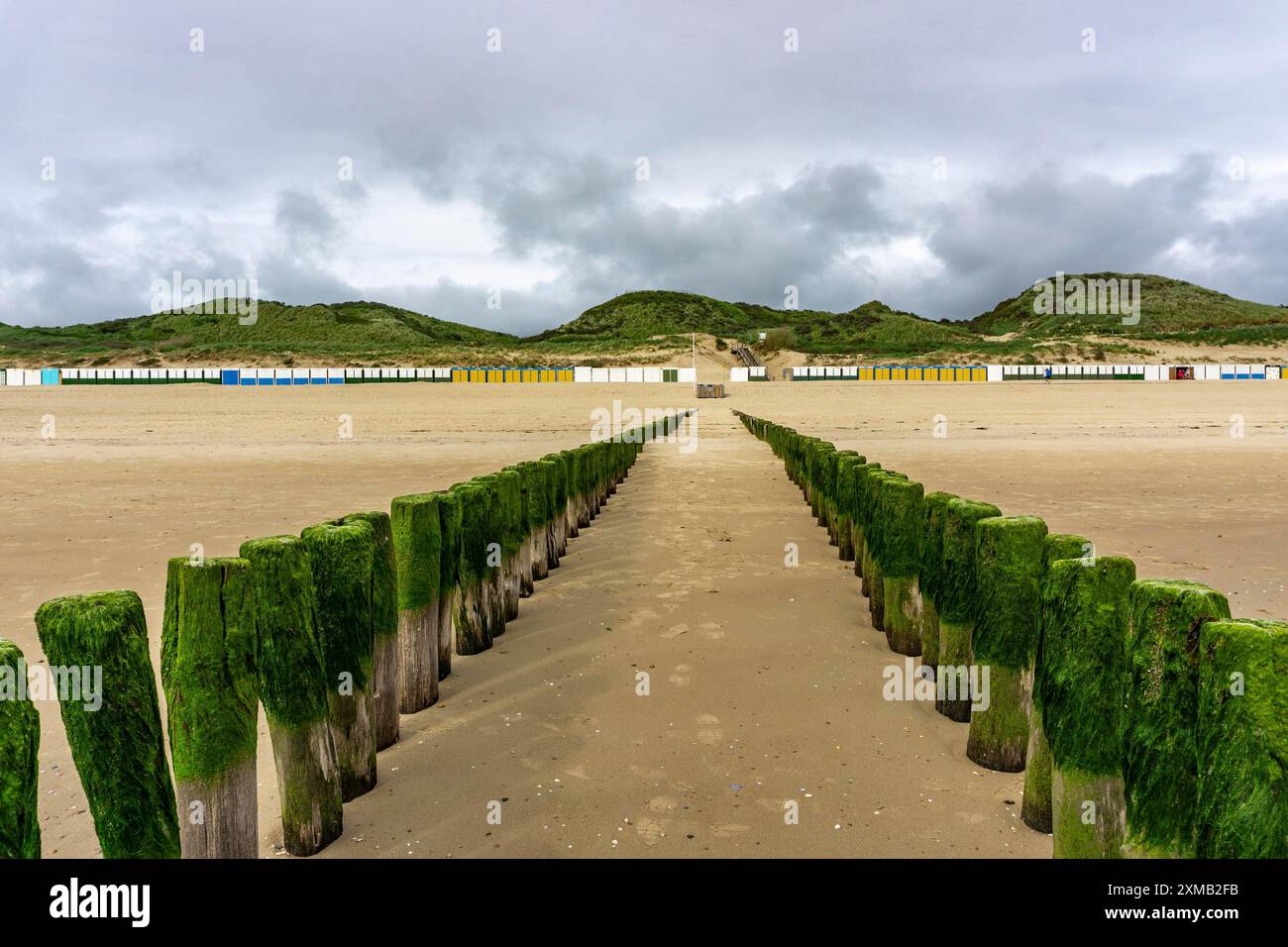 Côte de la mer du Nord en Zélande, appelée Zeeland Riviera, brise-lames, fait de piles de bois, près de Zoutelande, municipalité de Veere, cabines de plage Banque D'Images