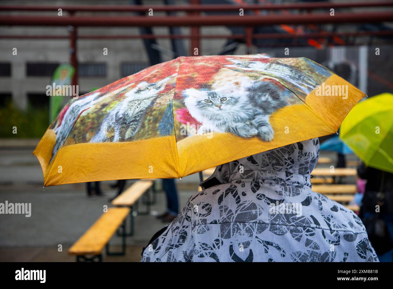 Femme avec un parapluie avec des motifs de chat Banque D'Images