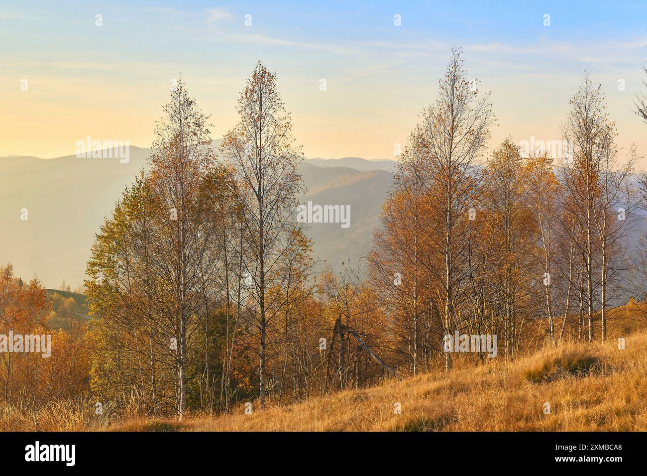 L'automne est l'une des quatre saisons tempérées. En dehors des tropiques, l'automne marque le passage de l'été à l'hiver Banque D'Images